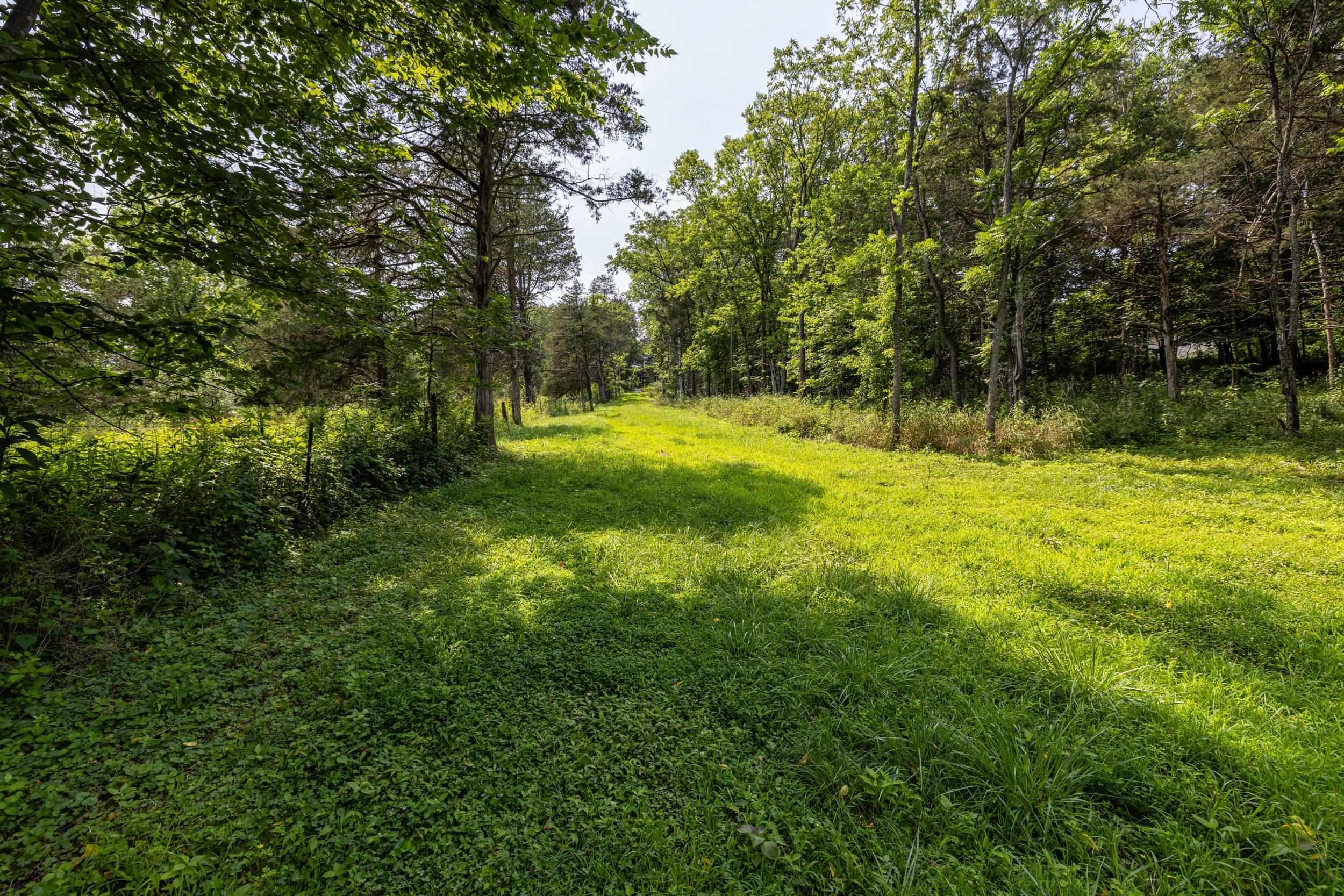 TBD US HWY 211 W, LURAY, Virginia 22835, ,Land,TBD US HWY 211 W, Luray, VA 22835,TBD US HWY 211 W,679783 MLS # 679783 TBD US HWY 211 W, LURAY, Virginia 22835, ,Land,TBD US HWY 211 W, Luray, VA 22835,TBD US HWY 211 W,679783 MLS # 679783