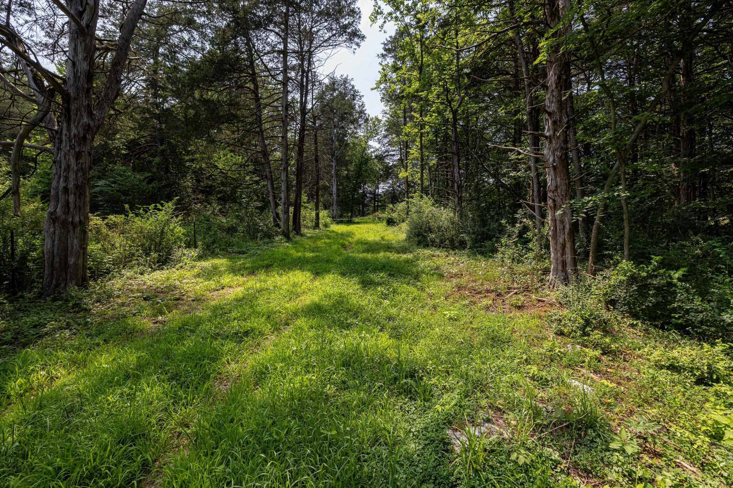 TBD US HWY 211 W, LURAY, Virginia 22835, ,Land,TBD US HWY 211 W, Luray, VA 22835,TBD US HWY 211 W,679783 MLS # 679783 TBD US HWY 211 W, LURAY, Virginia 22835, ,Land,TBD US HWY 211 W, Luray, VA 22835,TBD US HWY 211 W,679783 MLS # 679783