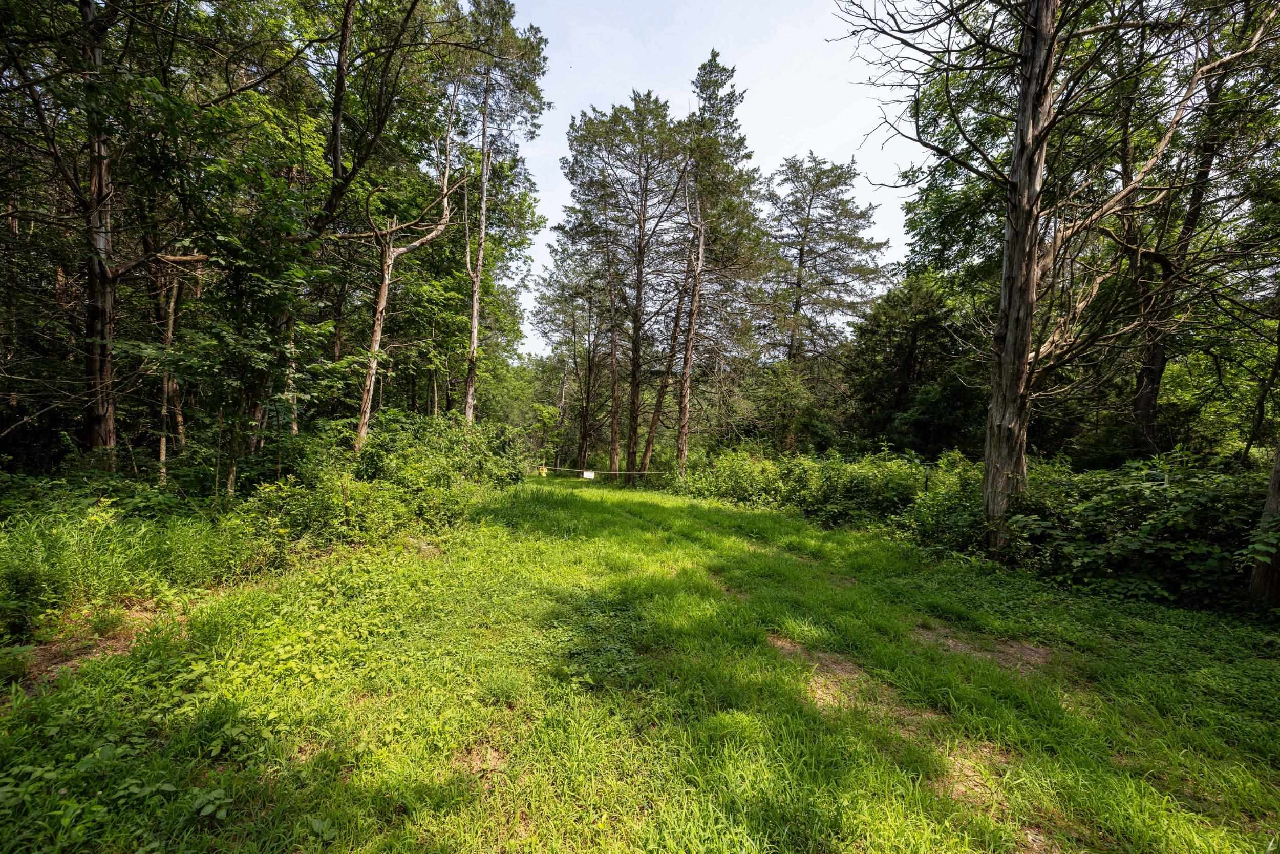 TBD US HWY 211 W, LURAY, Virginia 22835, ,Land,TBD US HWY 211 W, Luray, VA 22835,TBD US HWY 211 W,679783 MLS # 679783 TBD US HWY 211 W, LURAY, Virginia 22835, ,Land,TBD US HWY 211 W, Luray, VA 22835,TBD US HWY 211 W,679783 MLS # 679783