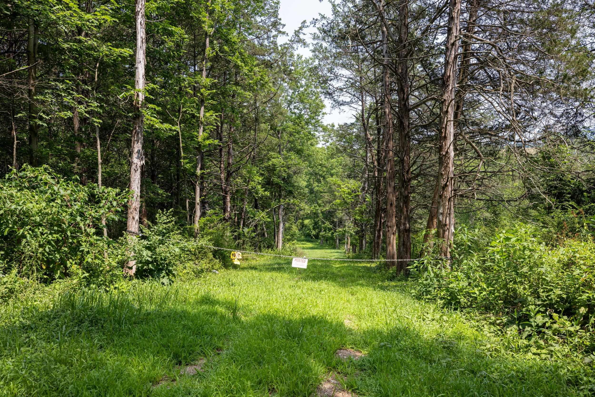 TBD US HWY 211 W, LURAY, Virginia 22835, ,Land,TBD US HWY 211 W, Luray, VA 22835,TBD US HWY 211 W,679783 MLS # 679783 TBD US HWY 211 W, LURAY, Virginia 22835, ,Land,TBD US HWY 211 W, Luray, VA 22835,TBD US HWY 211 W,679783 MLS # 679783