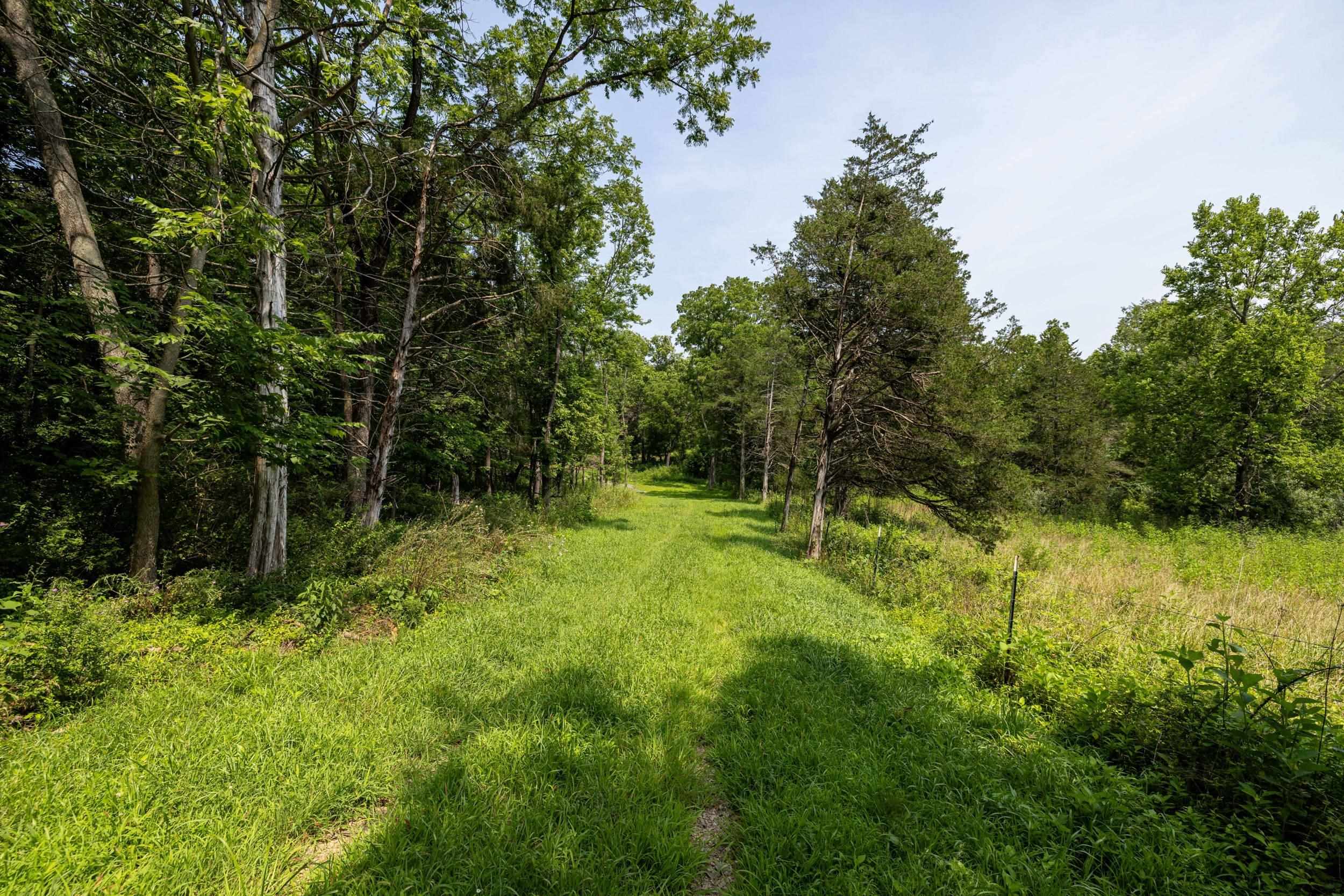 TBD US HWY 211 W, LURAY, Virginia 22835, ,Land,TBD US HWY 211 W, Luray, VA 22835,TBD US HWY 211 W,679783 MLS # 679783 TBD US HWY 211 W, LURAY, Virginia 22835, ,Land,TBD US HWY 211 W, Luray, VA 22835,TBD US HWY 211 W,679783 MLS # 679783