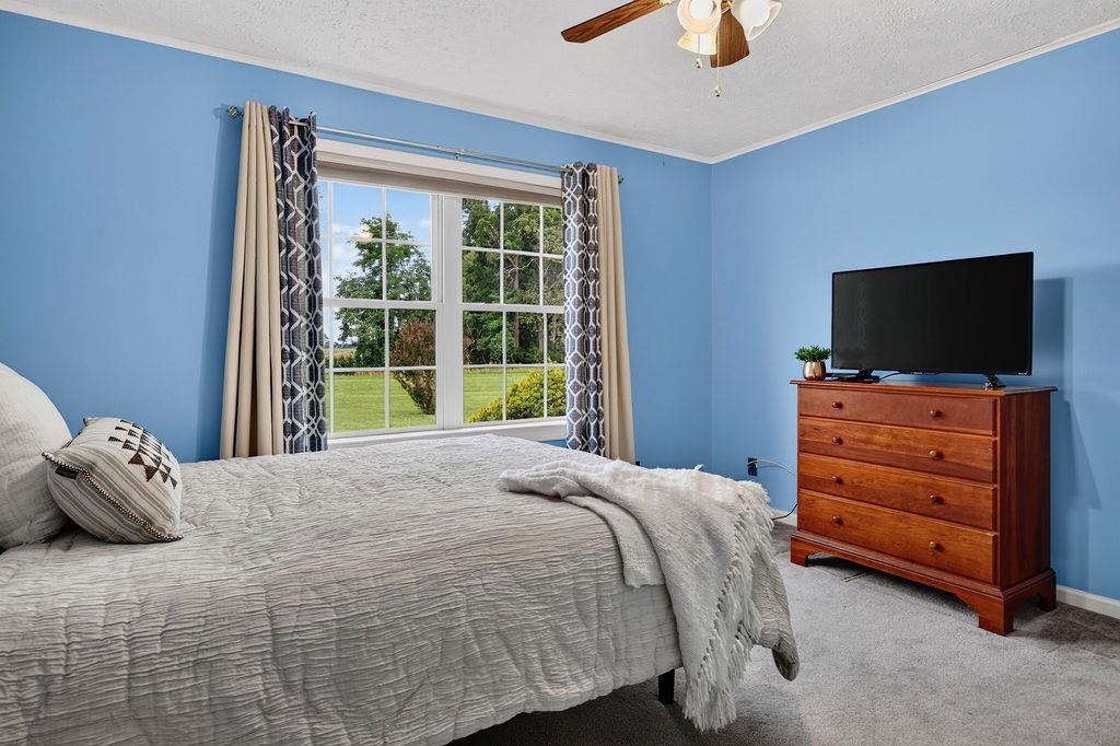 40A BRADFORD ST, SWOOPE, Virginia 24479, 3 Bedrooms Bedrooms, ,3 BathroomsBathrooms,Residential,40A BRADFORD ST,679754 MLS # 679754