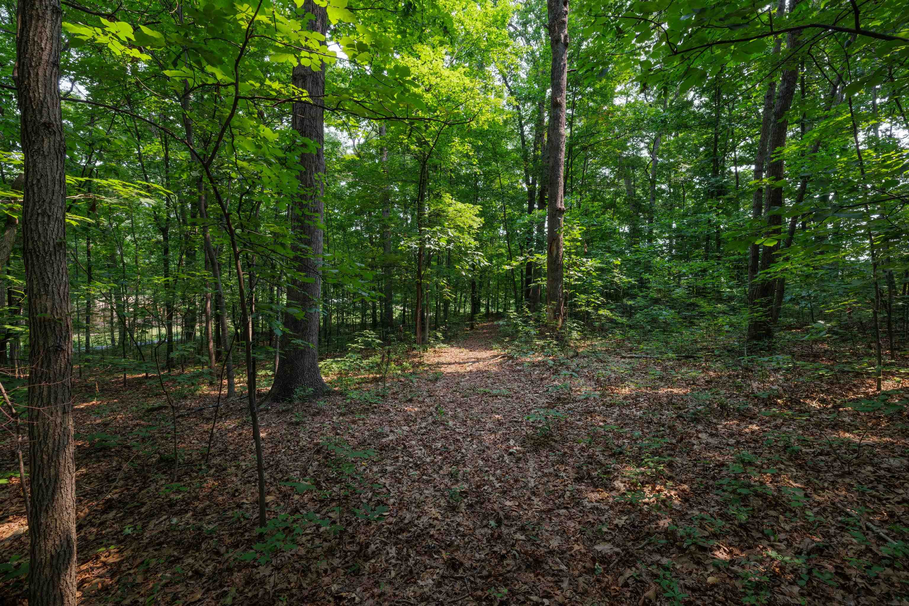 TBD BROADHEAD SCHOOL RD, GREENVILLE, Virginia 24440, ,Land,TBD BROADHEAD SCHOOL RD,679787 MLS # 679787 TBD BROADHEAD SCHOOL RD, GREENVILLE, Virginia 24440, ,Land,TBD BROADHEAD SCHOOL RD,679787 MLS # 679787