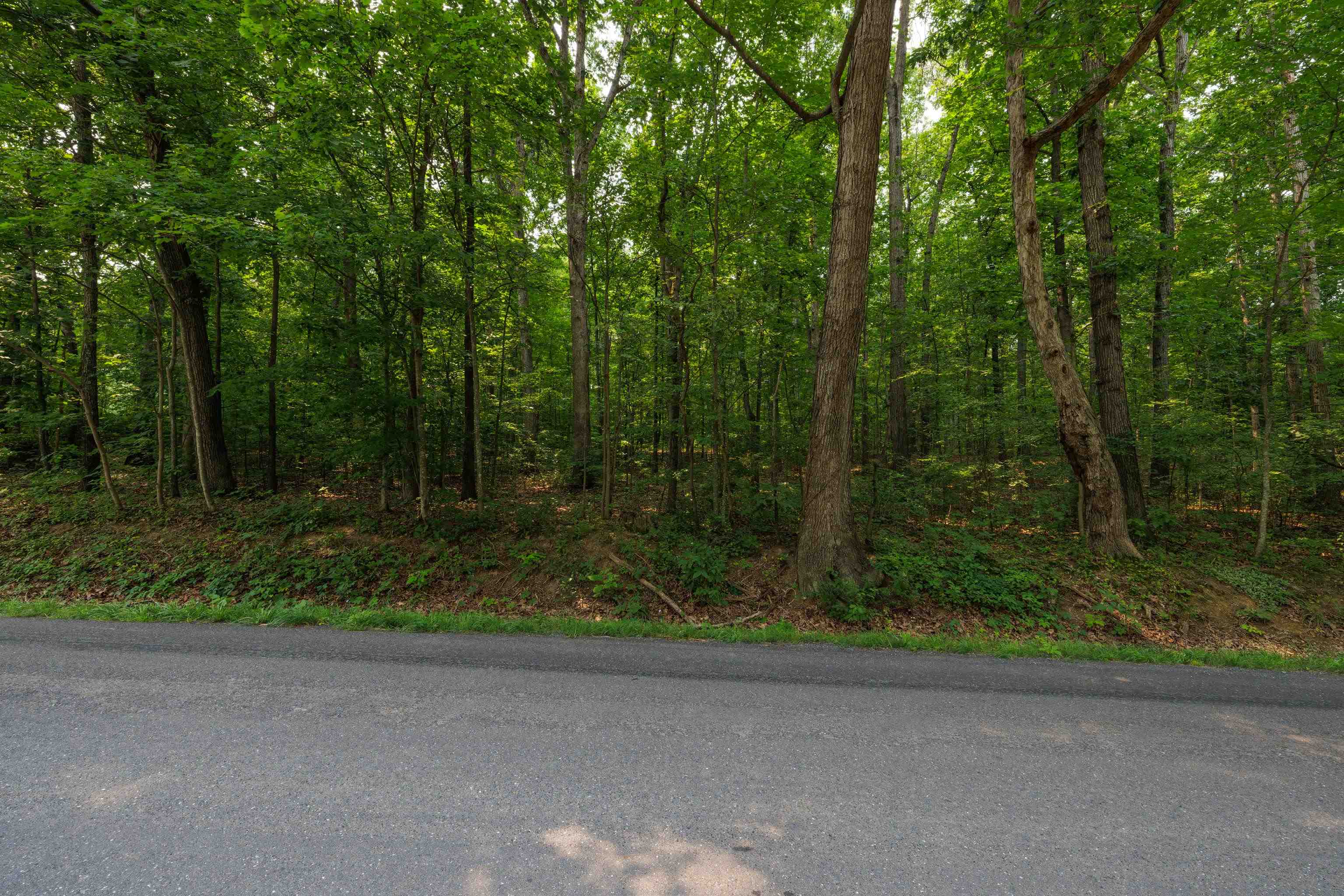 TBD BROADHEAD SCHOOL RD, GREENVILLE, Virginia 24440, ,Land,TBD BROADHEAD SCHOOL RD,679787 MLS # 679787 TBD BROADHEAD SCHOOL RD, GREENVILLE, Virginia 24440, ,Land,TBD BROADHEAD SCHOOL RD,679787 MLS # 679787