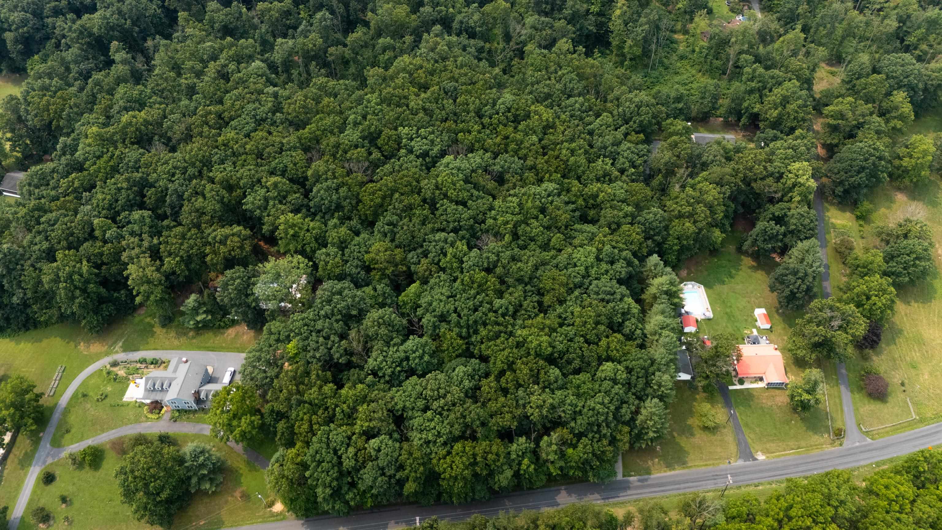 TBD BROADHEAD SCHOOL RD, GREENVILLE, Virginia 24440, ,Land,TBD BROADHEAD SCHOOL RD,679787 MLS # 679787 TBD BROADHEAD SCHOOL RD, GREENVILLE, Virginia 24440, ,Land,TBD BROADHEAD SCHOOL RD,679787 MLS # 679787