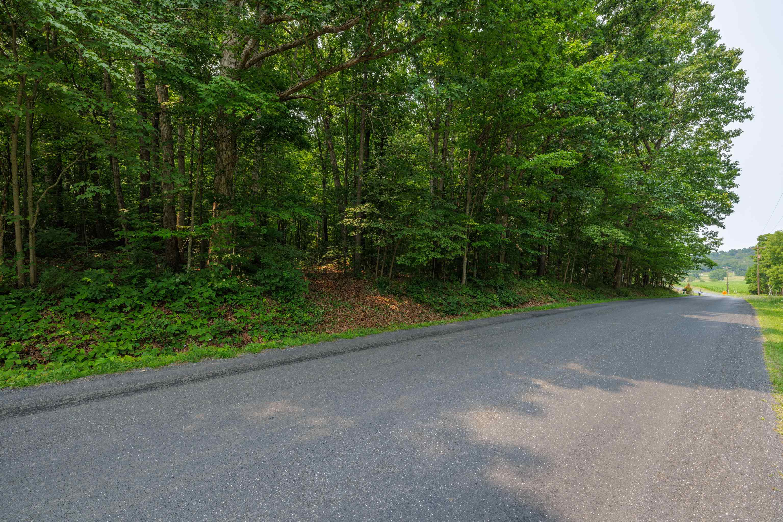 TBD BROADHEAD SCHOOL RD, GREENVILLE, Virginia 24440, ,Land,TBD BROADHEAD SCHOOL RD,679787 MLS # 679787 TBD BROADHEAD SCHOOL RD, GREENVILLE, Virginia 24440, ,Land,TBD BROADHEAD SCHOOL RD,679787 MLS # 679787