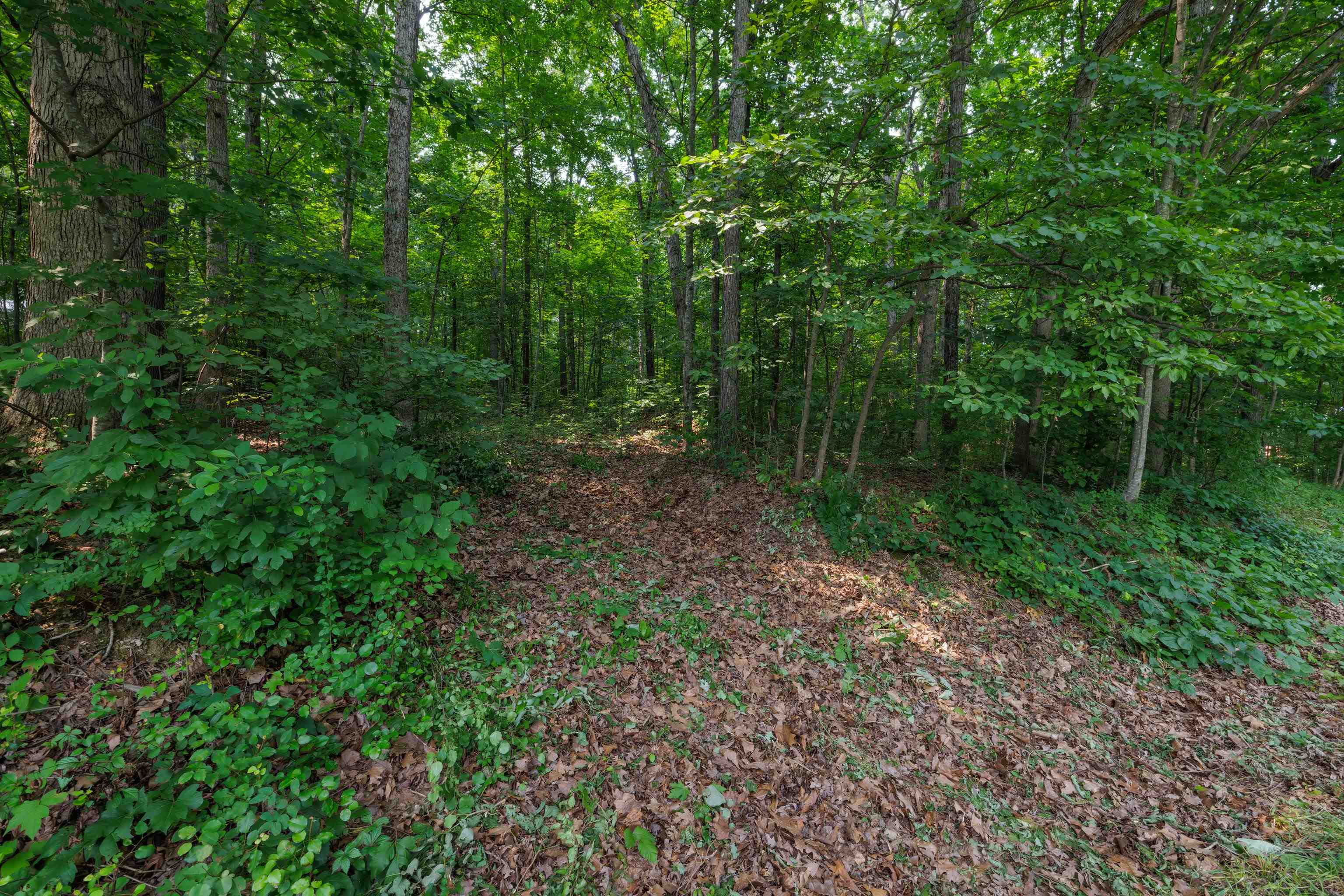TBD BROADHEAD SCHOOL RD, GREENVILLE, Virginia 24440, ,Land,TBD BROADHEAD SCHOOL RD,679787 MLS # 679787 TBD BROADHEAD SCHOOL RD, GREENVILLE, Virginia 24440, ,Land,TBD BROADHEAD SCHOOL RD,679787 MLS # 679787