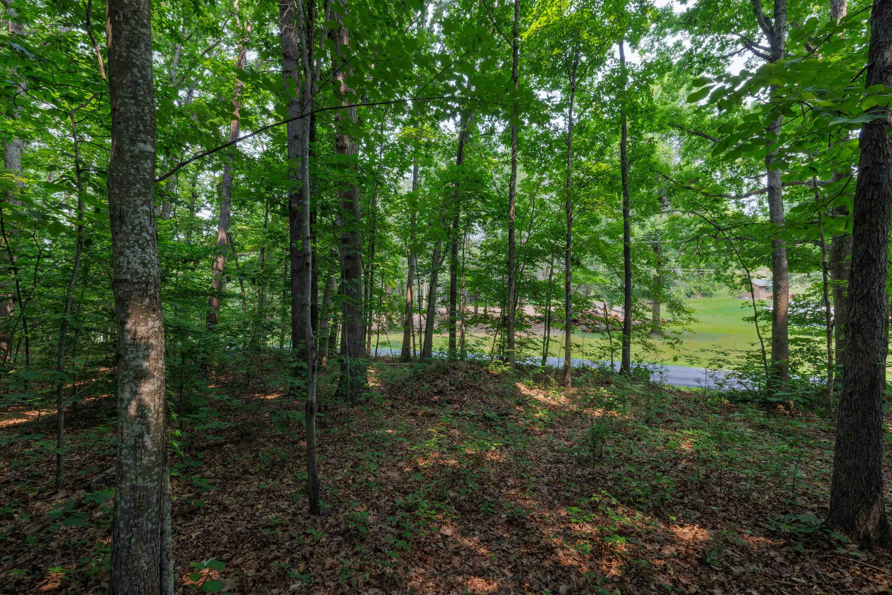TBD BROADHEAD SCHOOL RD, GREENVILLE, Virginia 24440, ,Land,TBD BROADHEAD SCHOOL RD,679787 MLS # 679787 TBD BROADHEAD SCHOOL RD, GREENVILLE, Virginia 24440, ,Land,TBD BROADHEAD SCHOOL RD,679787 MLS # 679787