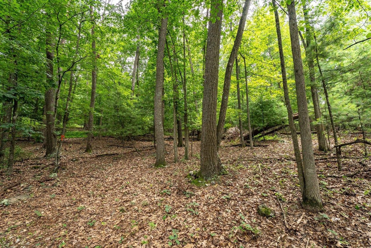 TBD RINKER RD, BROADWAY, Virginia 22815, ,Land,TBD RINKER RD,679809 MLS # 679809 TBD RINKER RD, BROADWAY, Virginia 22815, ,Land,TBD RINKER RD,679809 MLS # 679809