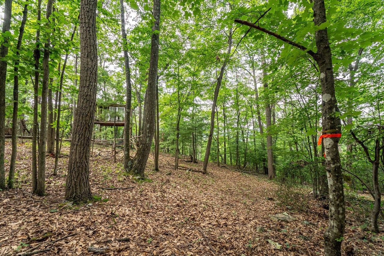 TBD RINKER RD, BROADWAY, Virginia 22815, ,Land,TBD RINKER RD,679809 MLS # 679809 TBD RINKER RD, BROADWAY, Virginia 22815, ,Land,TBD RINKER RD,679809 MLS # 679809