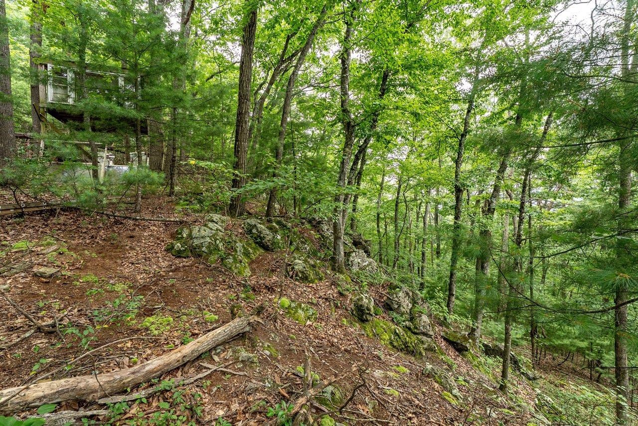 TBD RINKER RD, BROADWAY, Virginia 22815, ,Land,TBD RINKER RD,679809 MLS # 679809 TBD RINKER RD, BROADWAY, Virginia 22815, ,Land,TBD RINKER RD,679809 MLS # 679809
