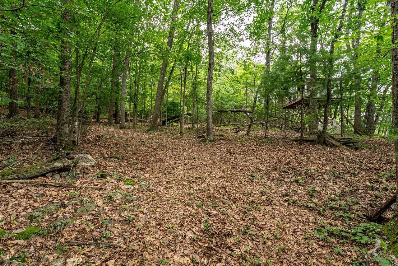 TBD RINKER RD, BROADWAY, Virginia 22815, ,Land,TBD RINKER RD,679809 MLS # 679809 TBD RINKER RD, BROADWAY, Virginia 22815, ,Land,TBD RINKER RD,679809 MLS # 679809