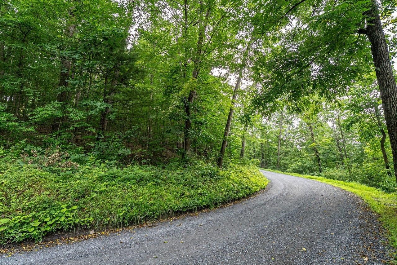 TBD RINKER RD, BROADWAY, Virginia 22815, ,Land,TBD RINKER RD,679809 MLS # 679809 TBD RINKER RD, BROADWAY, Virginia 22815, ,Land,TBD RINKER RD,679809 MLS # 679809