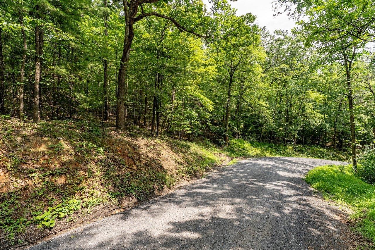 TBD RINKER RD, BROADWAY, Virginia 22815, ,Land,TBD RINKER RD,679809 MLS # 679809 TBD RINKER RD, BROADWAY, Virginia 22815, ,Land,TBD RINKER RD,679809 MLS # 679809