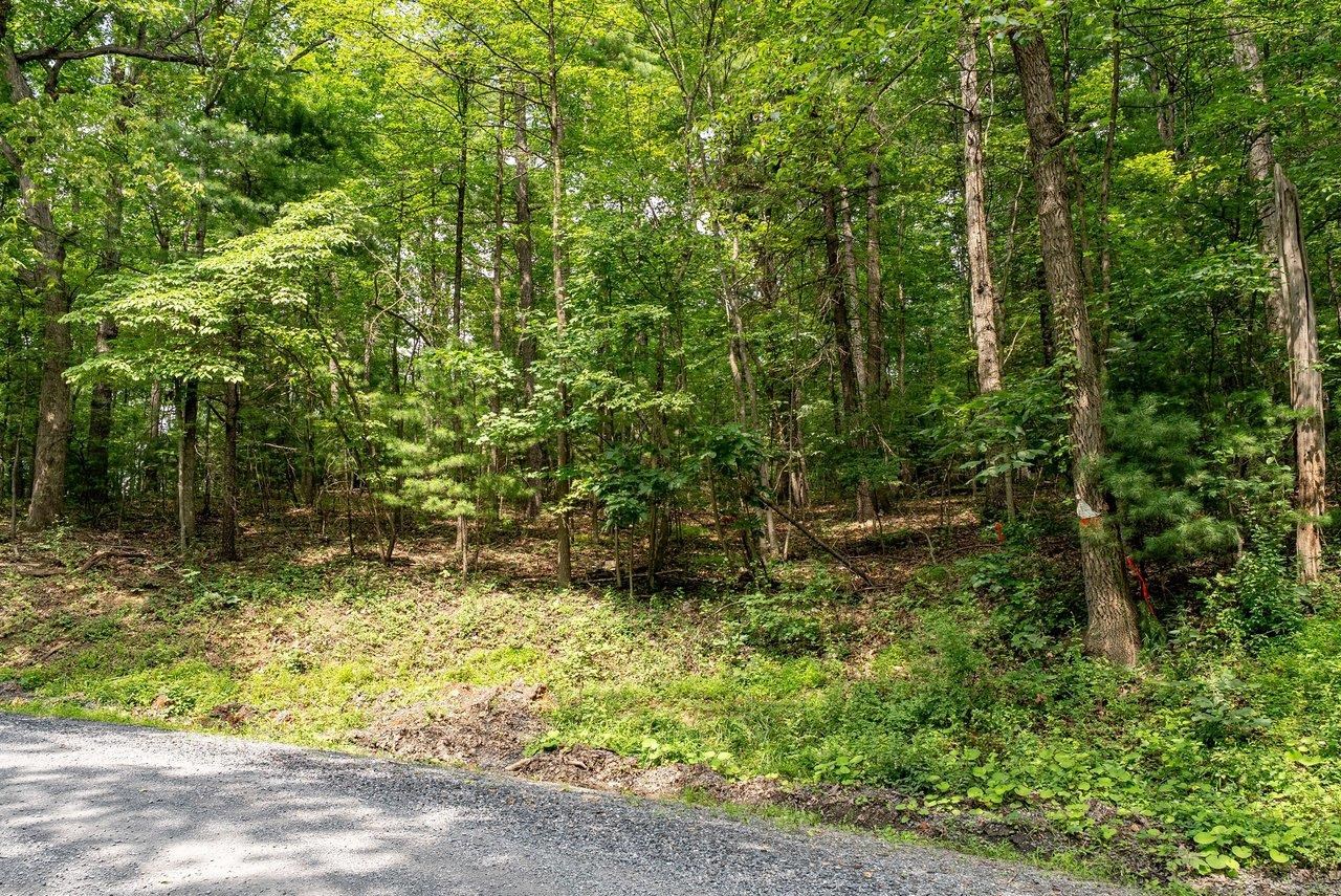 TBD RINKER RD, BROADWAY, Virginia 22815, ,Land,TBD RINKER RD,679809 MLS # 679809 TBD RINKER RD, BROADWAY, Virginia 22815, ,Land,TBD RINKER RD,679809 MLS # 679809