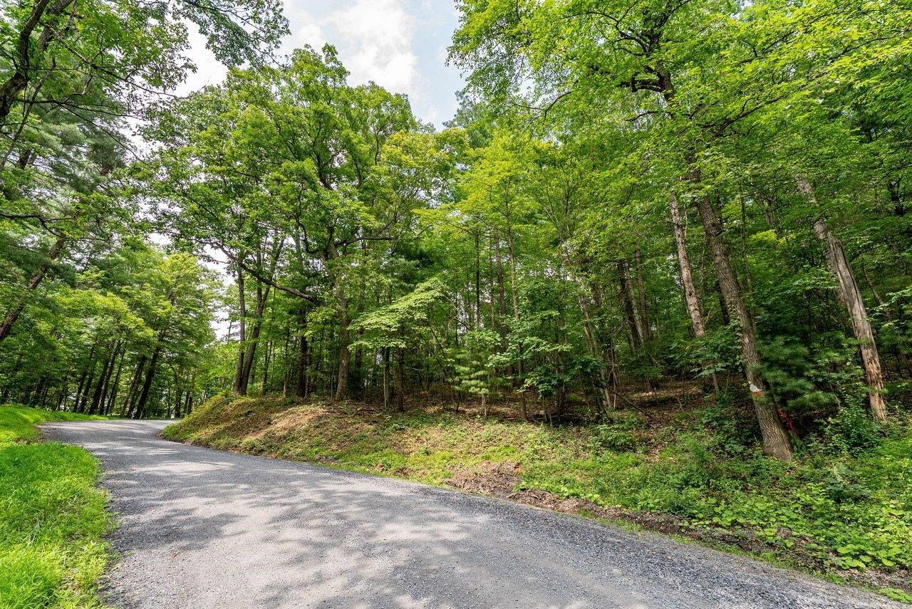 TBD RINKER RD, BROADWAY, Virginia 22815, ,Land,TBD RINKER RD,679809 MLS # 679809 TBD RINKER RD, BROADWAY, Virginia 22815, ,Land,TBD RINKER RD,679809 MLS # 679809