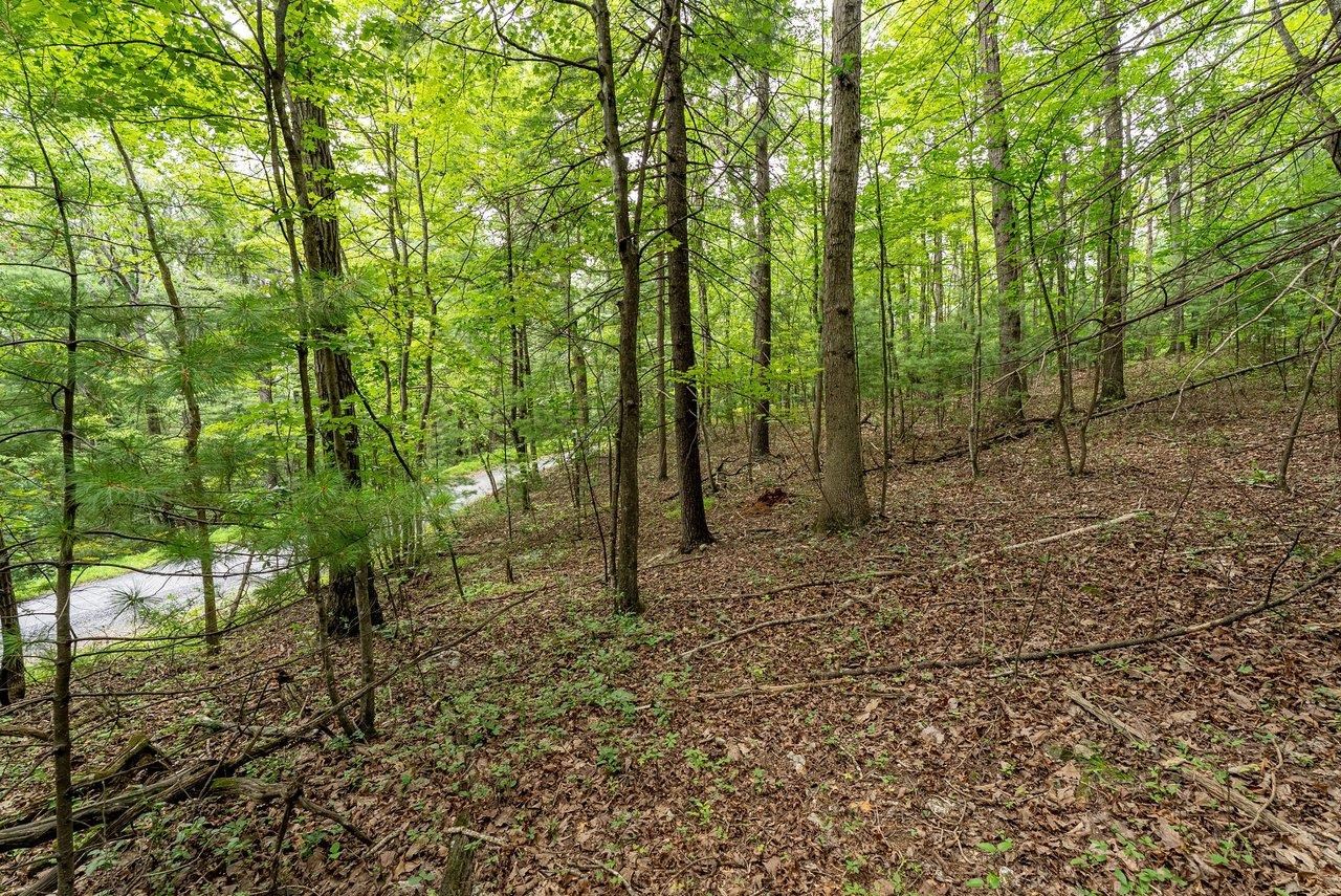 TBD RINKER RD, BROADWAY, Virginia 22815, ,Land,TBD RINKER RD,679809 MLS # 679809 TBD RINKER RD, BROADWAY, Virginia 22815, ,Land,TBD RINKER RD,679809 MLS # 679809
