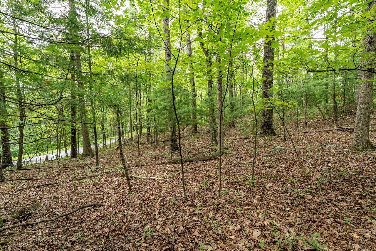 TBD RINKER RD, BROADWAY, Virginia 22815, ,Land,TBD RINKER RD,679809 MLS # 679809 TBD RINKER RD, BROADWAY, Virginia 22815, ,Land,TBD RINKER RD,679809 MLS # 679809