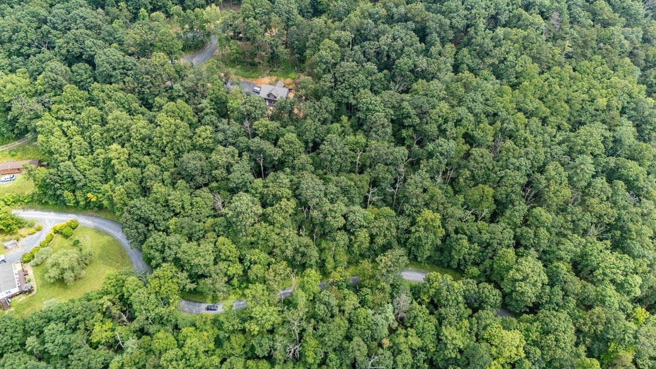 TBD RINKER RD, BROADWAY, Virginia 22815, ,Land,TBD RINKER RD,679809 MLS # 679809 TBD RINKER RD, BROADWAY, Virginia 22815, ,Land,TBD RINKER RD,679809 MLS # 679809