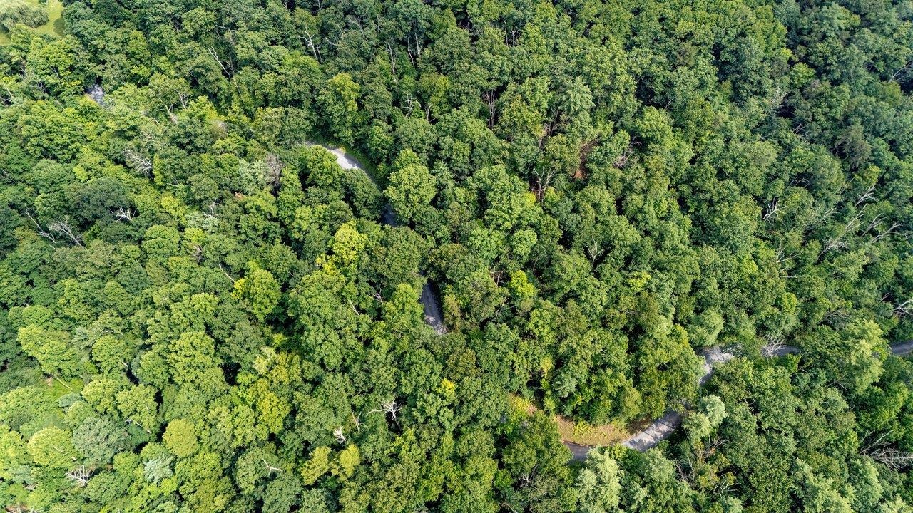 TBD RINKER RD, BROADWAY, Virginia 22815, ,Land,TBD RINKER RD,679809 MLS # 679809 TBD RINKER RD, BROADWAY, Virginia 22815, ,Land,TBD RINKER RD,679809 MLS # 679809