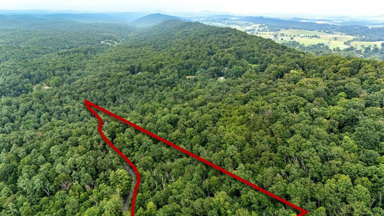 TBD RINKER RD, BROADWAY, Virginia 22815, ,Land,TBD RINKER RD,679809 MLS # 679809 TBD RINKER RD, BROADWAY, Virginia 22815, ,Land,TBD RINKER RD,679809 MLS # 679809