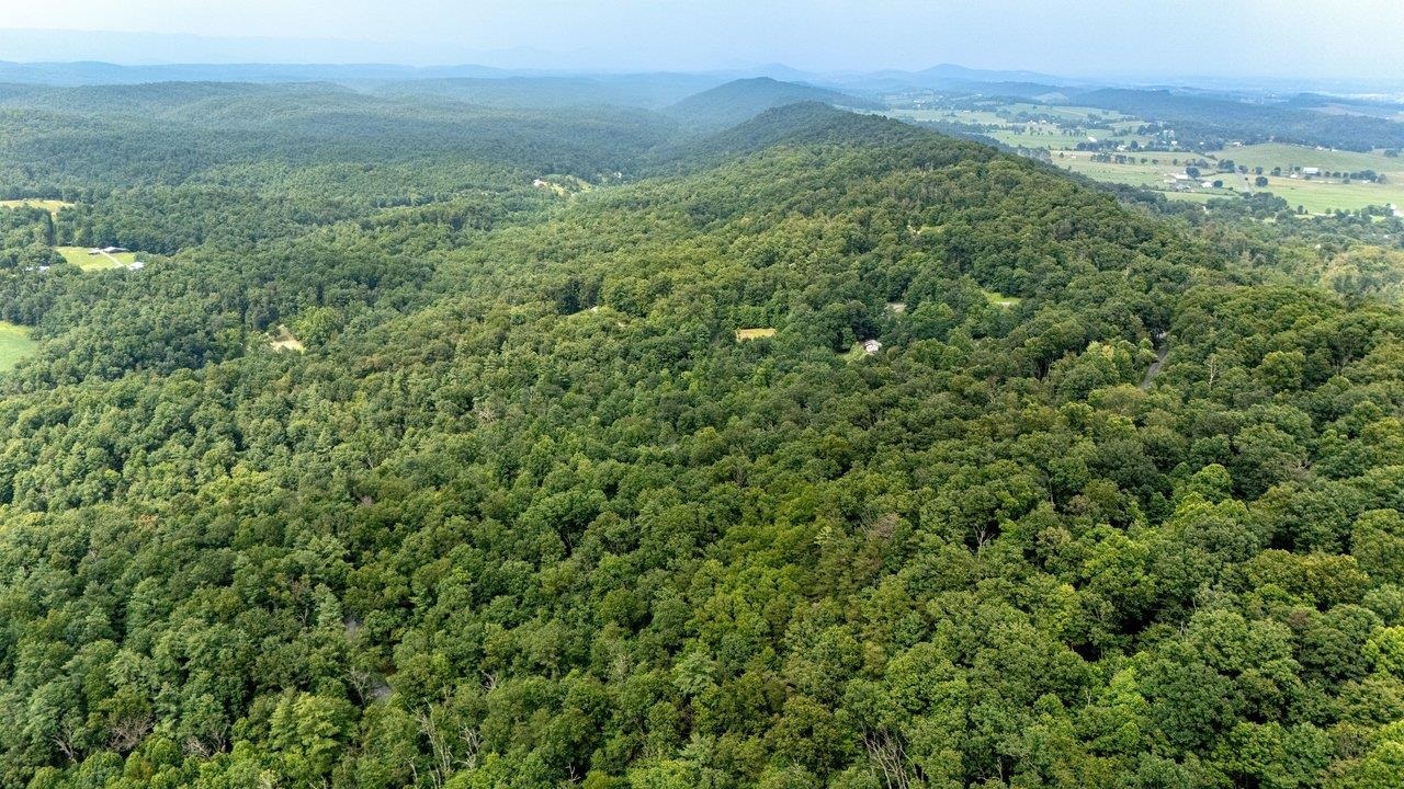 TBD RINKER RD, BROADWAY, Virginia 22815, ,Land,TBD RINKER RD,679809 MLS # 679809 TBD RINKER RD, BROADWAY, Virginia 22815, ,Land,TBD RINKER RD,679809 MLS # 679809