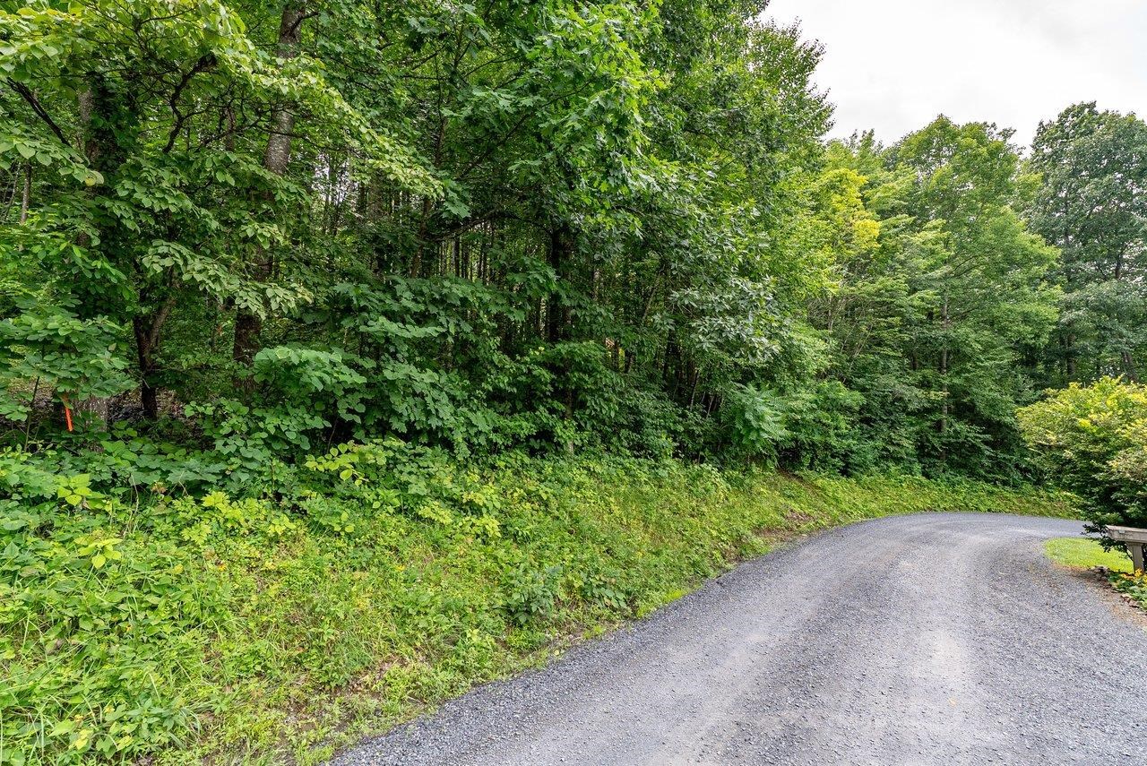 TBD RINKER RD, BROADWAY, Virginia 22815, ,Land,TBD RINKER RD,679809 MLS # 679809 TBD RINKER RD, BROADWAY, Virginia 22815, ,Land,TBD RINKER RD,679809 MLS # 679809