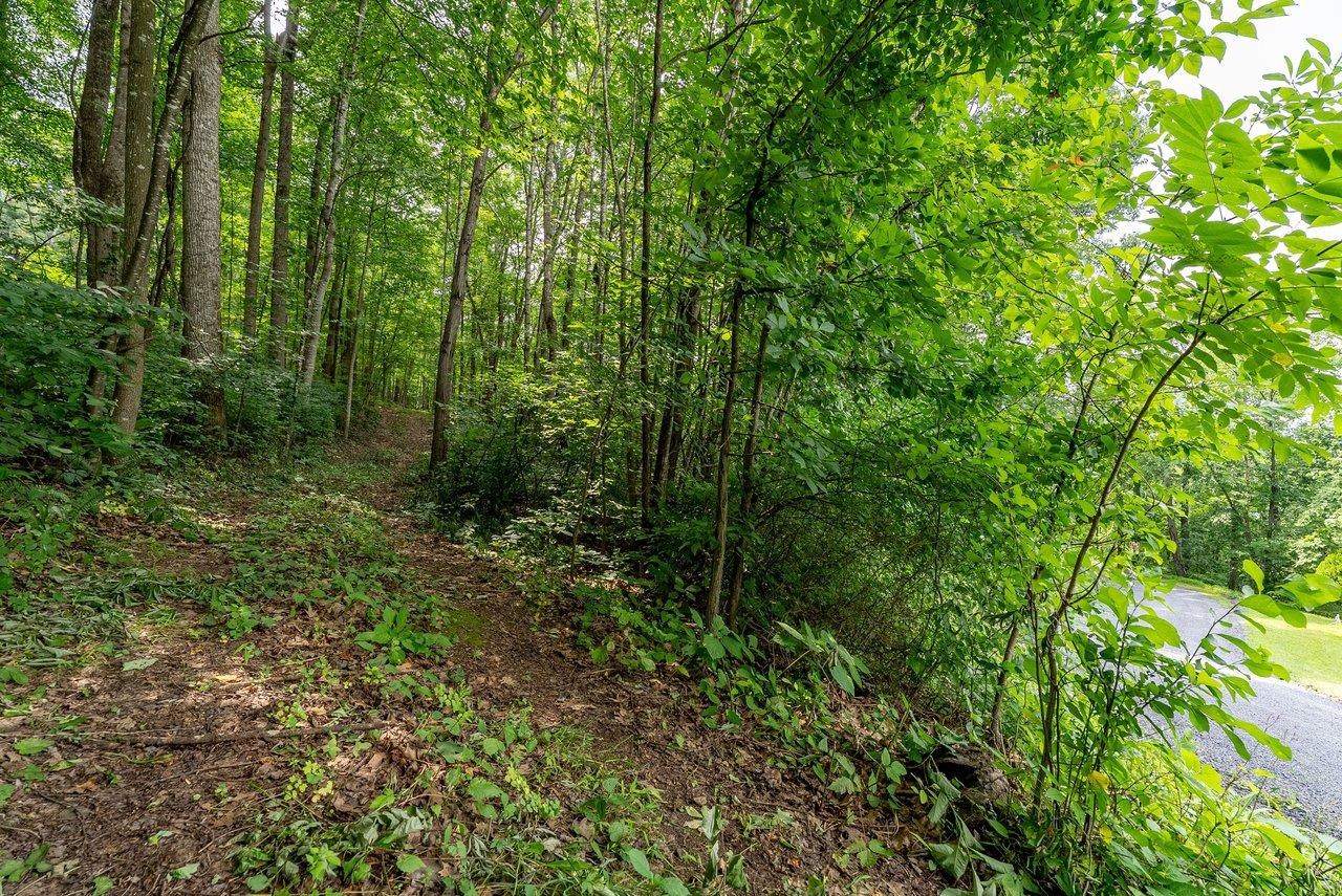 TBD RINKER RD, BROADWAY, Virginia 22815, ,Land,TBD RINKER RD,679809 MLS # 679809 TBD RINKER RD, BROADWAY, Virginia 22815, ,Land,TBD RINKER RD,679809 MLS # 679809