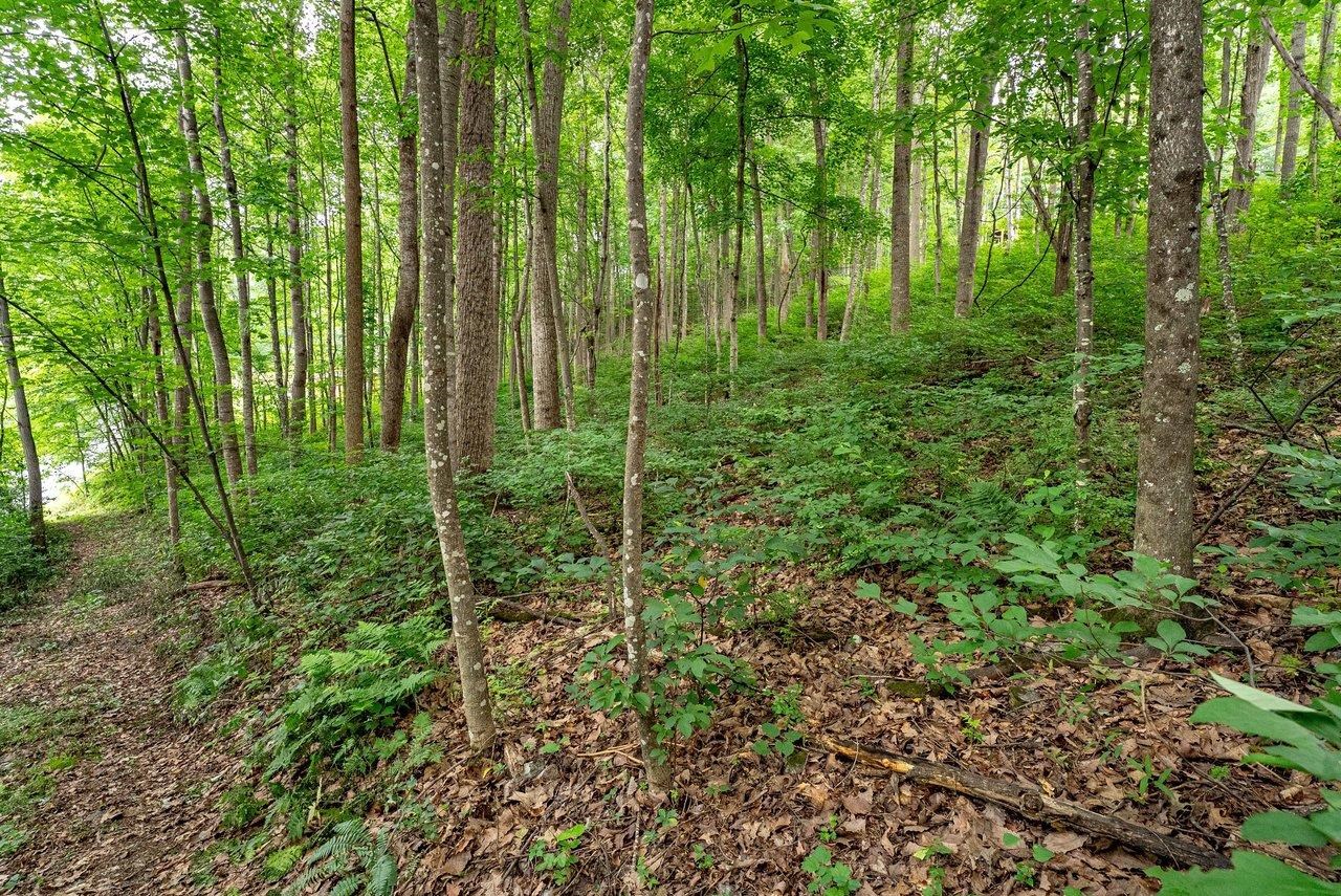 TBD RINKER RD, BROADWAY, Virginia 22815, ,Land,TBD RINKER RD,679809 MLS # 679809 TBD RINKER RD, BROADWAY, Virginia 22815, ,Land,TBD RINKER RD,679809 MLS # 679809