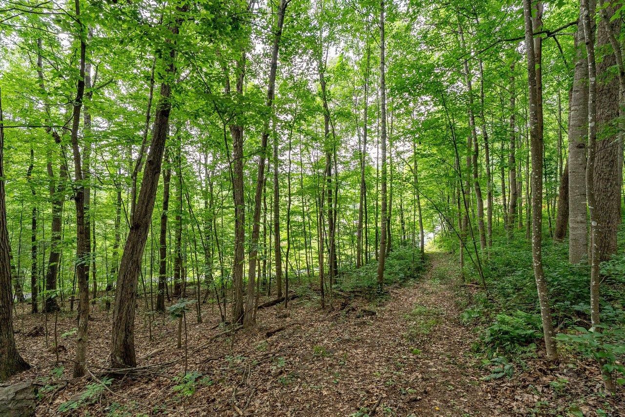 TBD RINKER RD, BROADWAY, Virginia 22815, ,Land,TBD RINKER RD,679809 MLS # 679809 TBD RINKER RD, BROADWAY, Virginia 22815, ,Land,TBD RINKER RD,679809 MLS # 679809