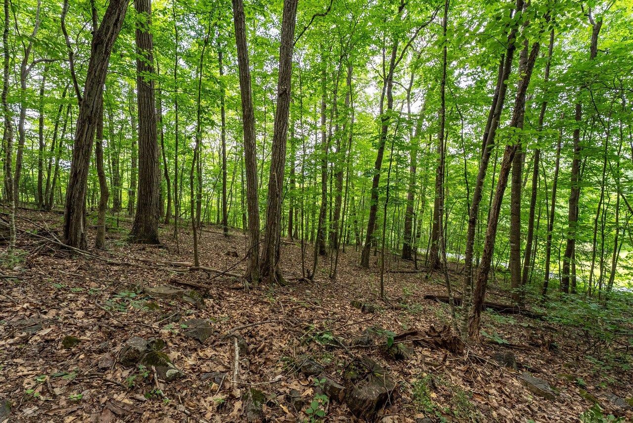 TBD RINKER RD, BROADWAY, Virginia 22815, ,Land,TBD RINKER RD,679809 MLS # 679809 TBD RINKER RD, BROADWAY, Virginia 22815, ,Land,TBD RINKER RD,679809 MLS # 679809