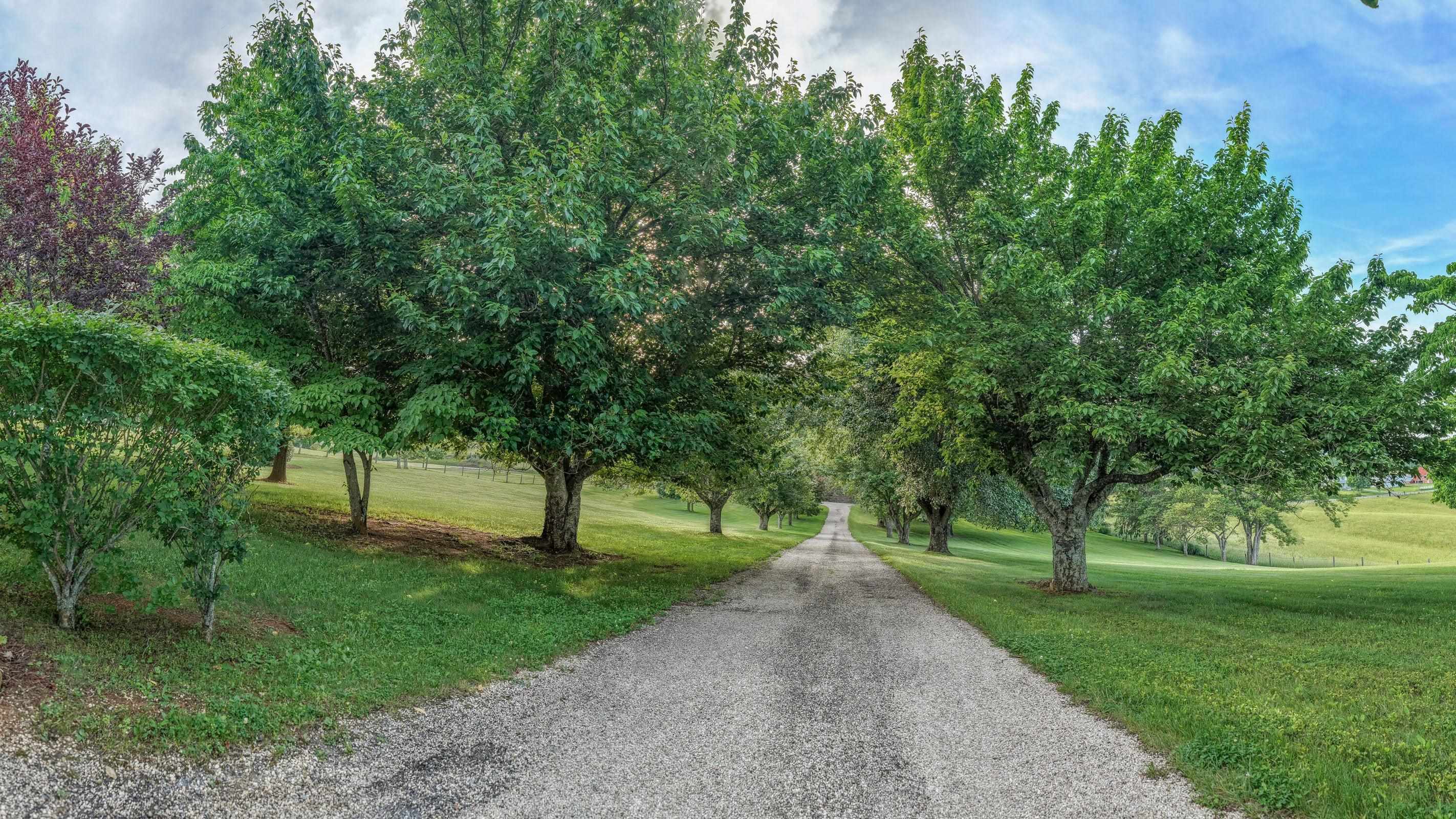 1274 MAURY RIVER RD, LEXINGTON, Virginia 24450, 3 Bedrooms Bedrooms, ,2 BathroomsBathrooms,Residential,1274 Maury River Rd Lexington, VA 24450,1274 MAURY RIVER RD,679812 MLS # 679812 1274 MAURY RIVER RD, LEXINGTON, Virginia 24450, 3 Bedrooms Bedrooms, ,2 BathroomsBathrooms,Residential,1274 Maury River Rd Lexington, VA 24450,1274 MAURY RIVER RD,679812 MLS # 679812