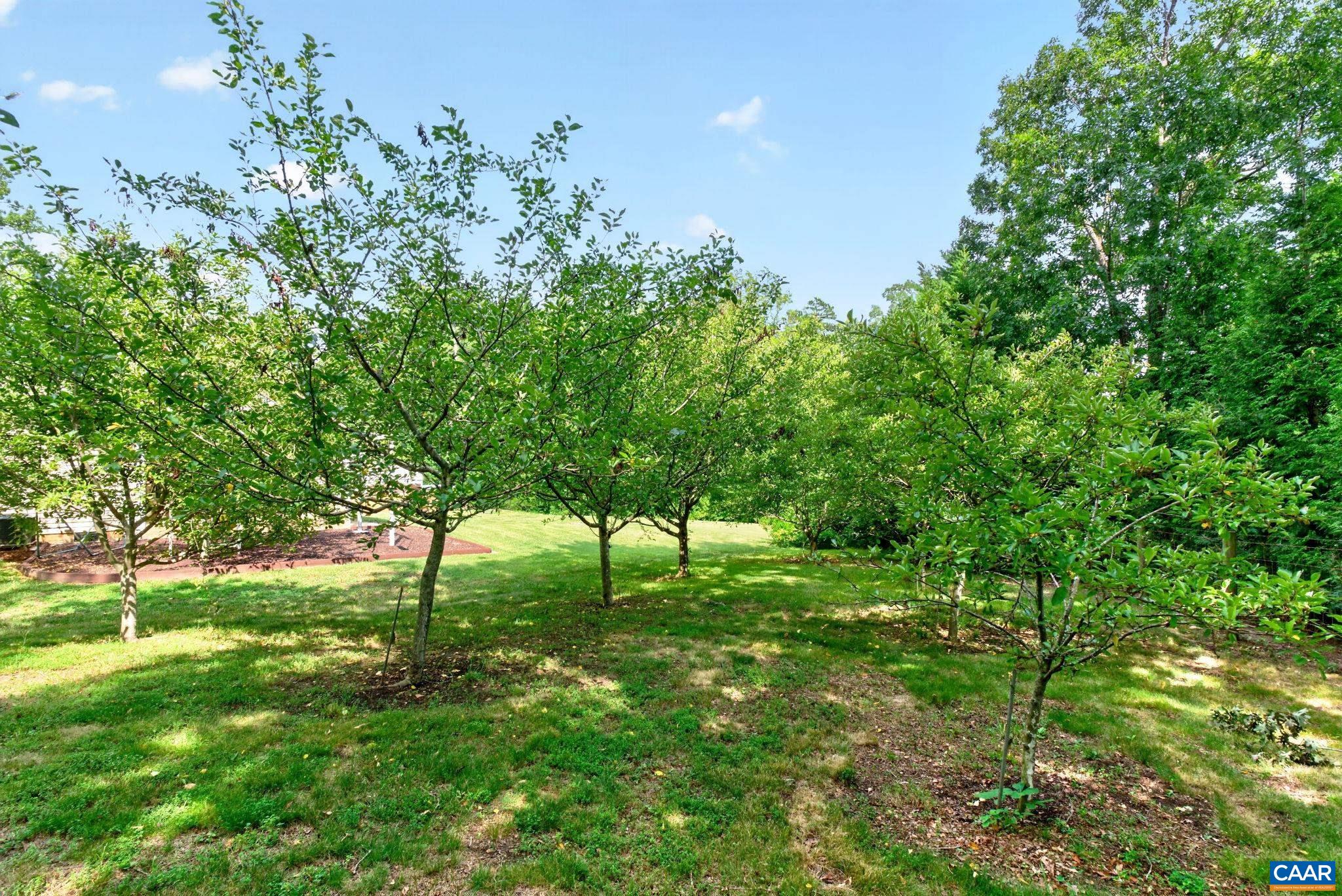 1558 RIDGEWAY DR, BARBOURSVILLE, Virginia 22923, 4 Bedrooms Bedrooms, ,2 BathroomsBathrooms,Residential,1558 RIDGEWAY DR,679823 MLS # 679823 1558 RIDGEWAY DR, BARBOURSVILLE, Virginia 22923, 4 Bedrooms Bedrooms, ,2 BathroomsBathrooms,Residential,1558 RIDGEWAY DR,679823 MLS # 679823