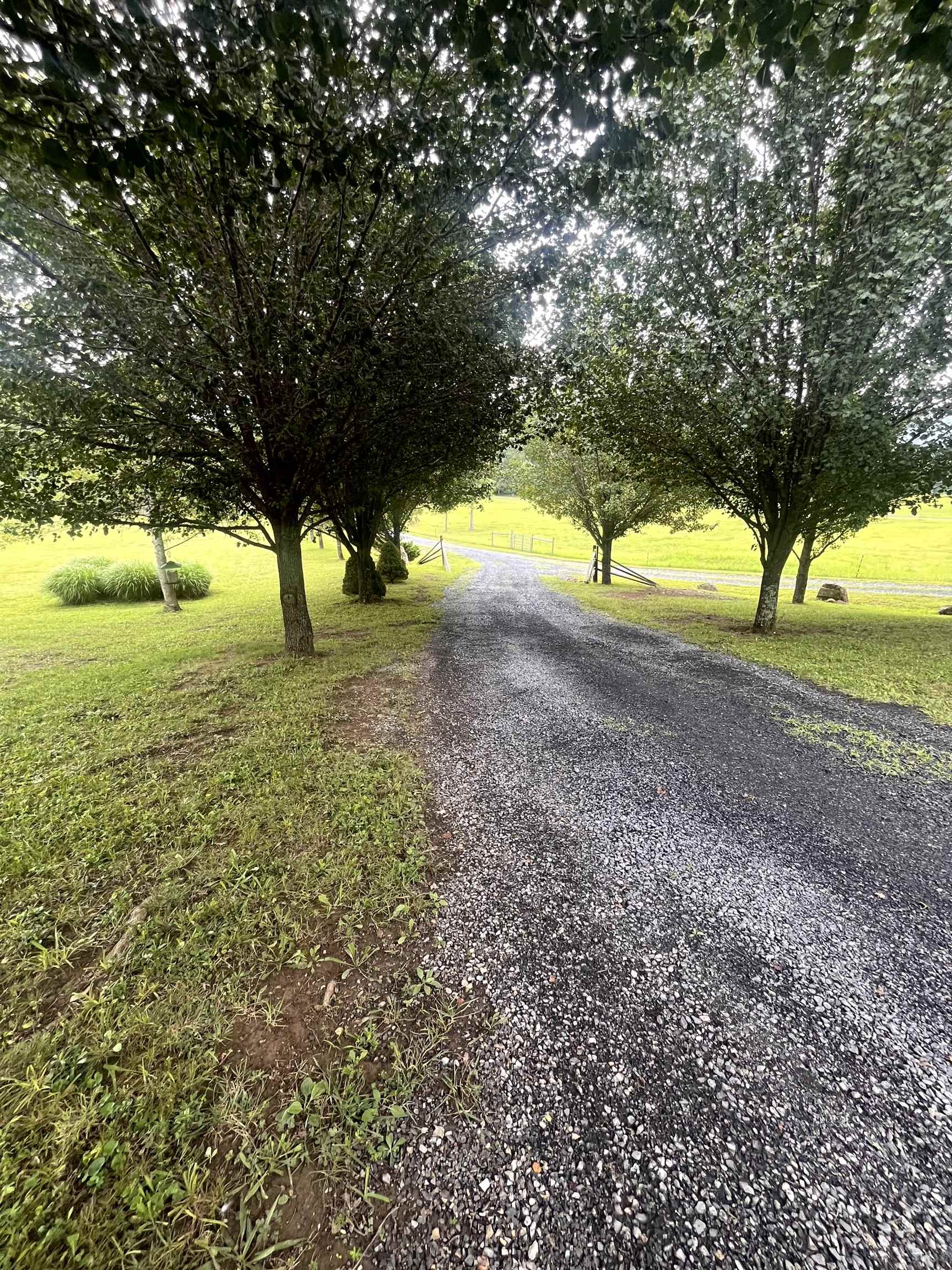 93 POPLAR RIDGE LN, CRAIGSVILLE, Virginia 24430, 4 Bedrooms Bedrooms, ,3 BathroomsBathrooms,Residential,93 POPLAR RIDGE LN,679824 MLS # 679824