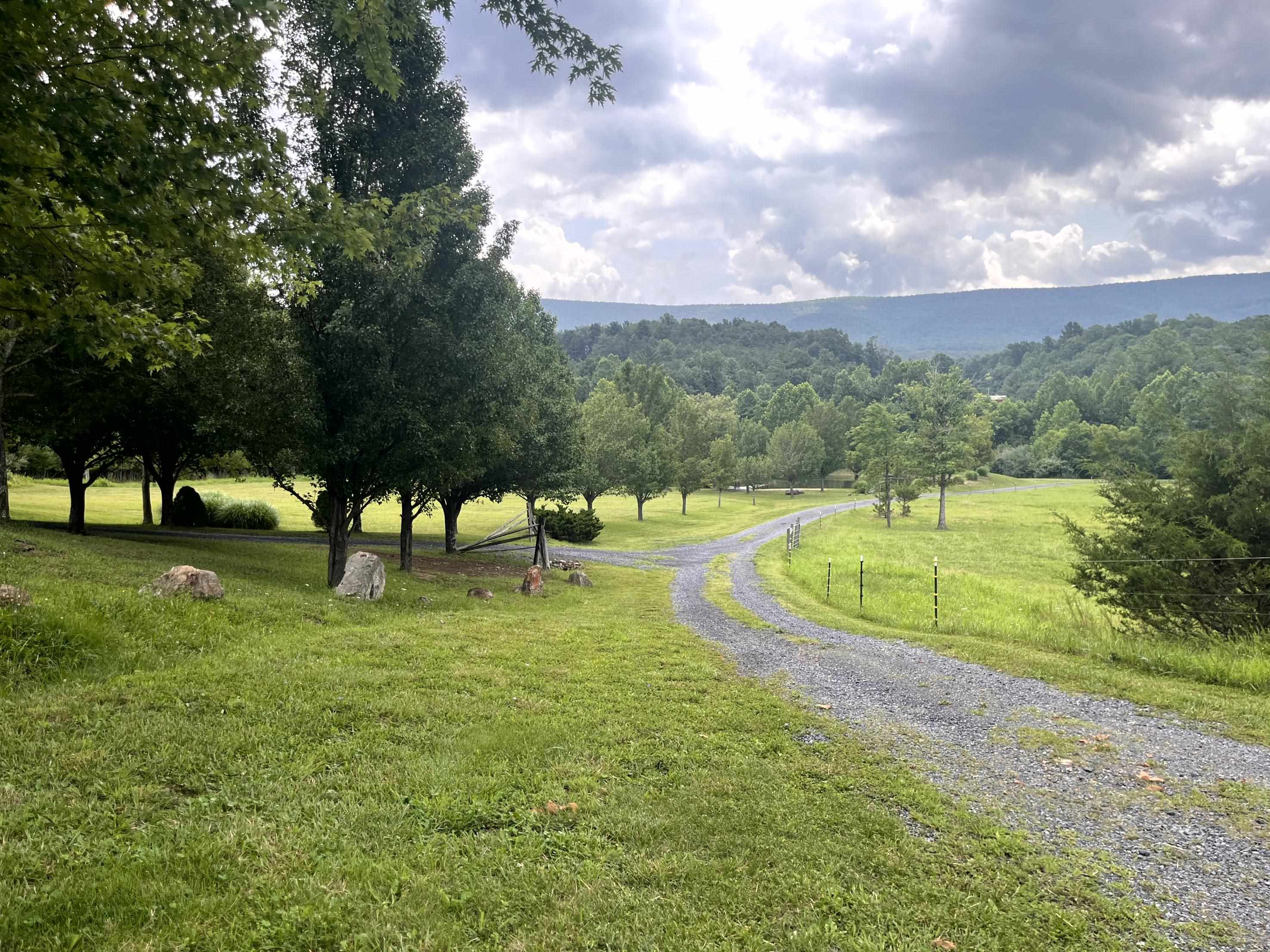 93 POPLAR RIDGE LN, CRAIGSVILLE, Virginia 24430, 4 Bedrooms Bedrooms, ,3 BathroomsBathrooms,Residential,93 POPLAR RIDGE LN,679824 MLS # 679824