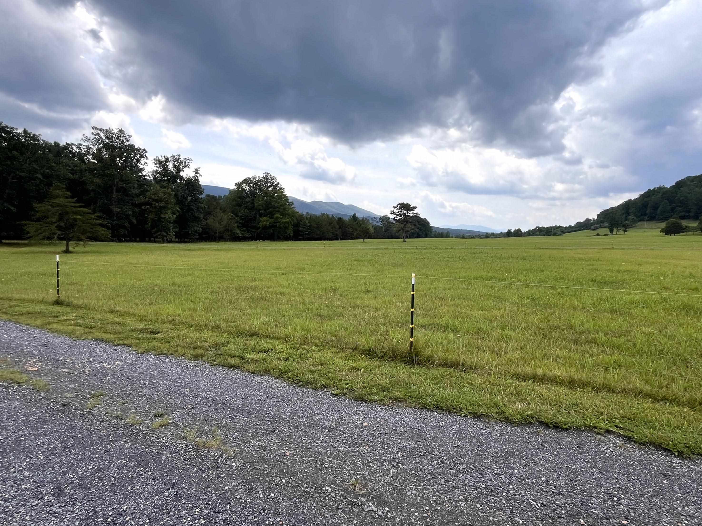 93 POPLAR RIDGE LN, CRAIGSVILLE, Virginia 24430, 4 Bedrooms Bedrooms, ,3 BathroomsBathrooms,Residential,93 POPLAR RIDGE LN,679824 MLS # 679824