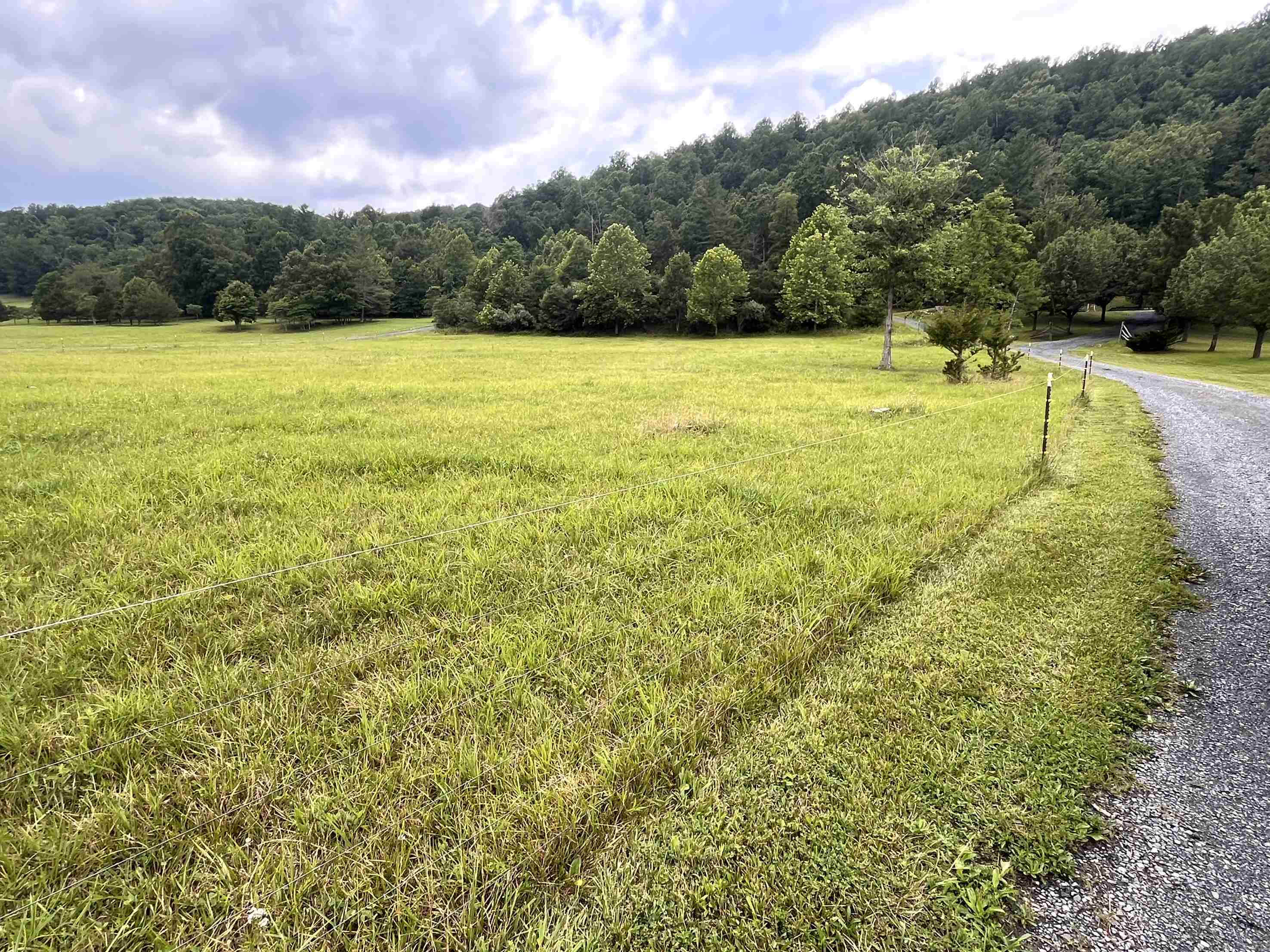 93 POPLAR RIDGE LN, CRAIGSVILLE, Virginia 24430, 4 Bedrooms Bedrooms, ,3 BathroomsBathrooms,Residential,93 POPLAR RIDGE LN,679824 MLS # 679824