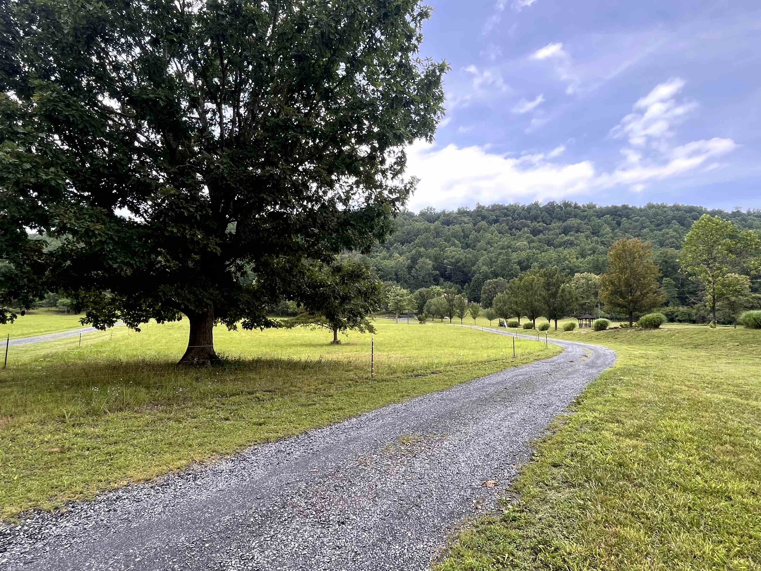 93 POPLAR RIDGE LN, CRAIGSVILLE, Virginia 24430, 4 Bedrooms Bedrooms, ,3 BathroomsBathrooms,Residential,93 POPLAR RIDGE LN,679824 MLS # 679824