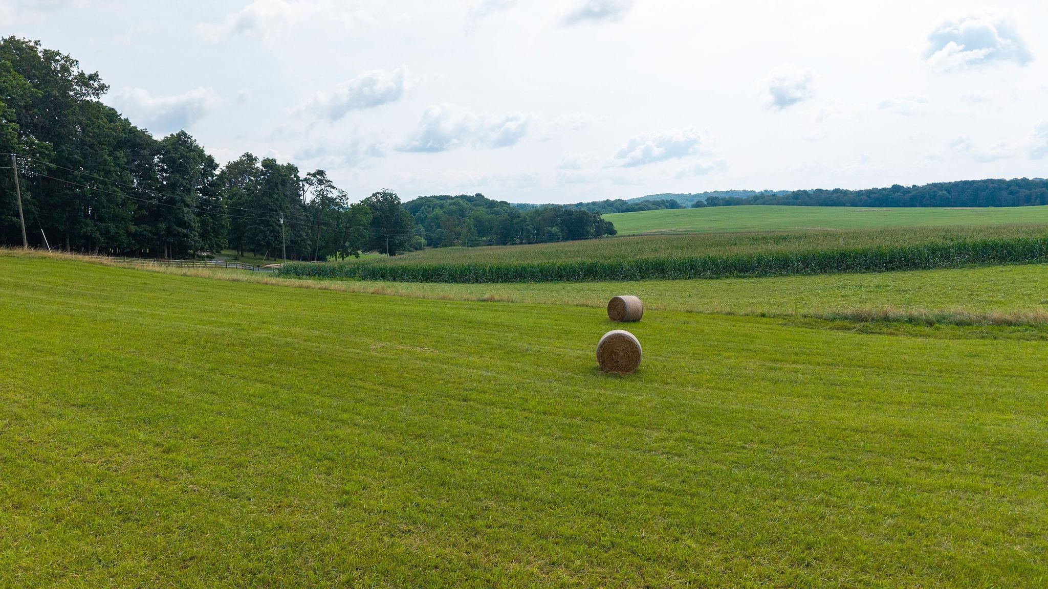 TBD STONE BRANCH RD, STAUNTON, Virginia 24401, ,Land,TBD STONE BRANCH RD,679838 MLS # 679838
