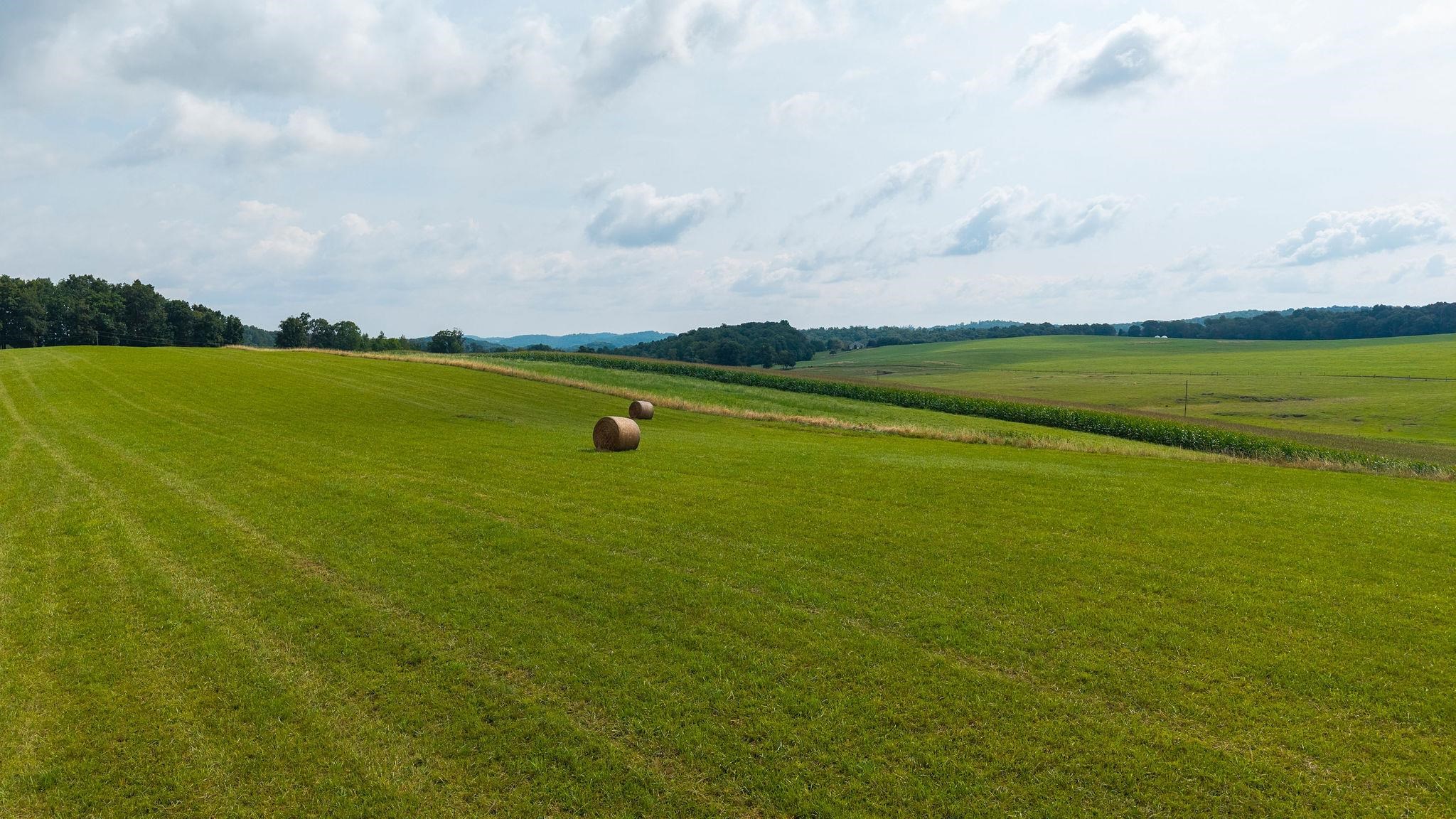 TBD STONE BRANCH RD, STAUNTON, Virginia 24401, ,Land,TBD STONE BRANCH RD,679838 MLS # 679838