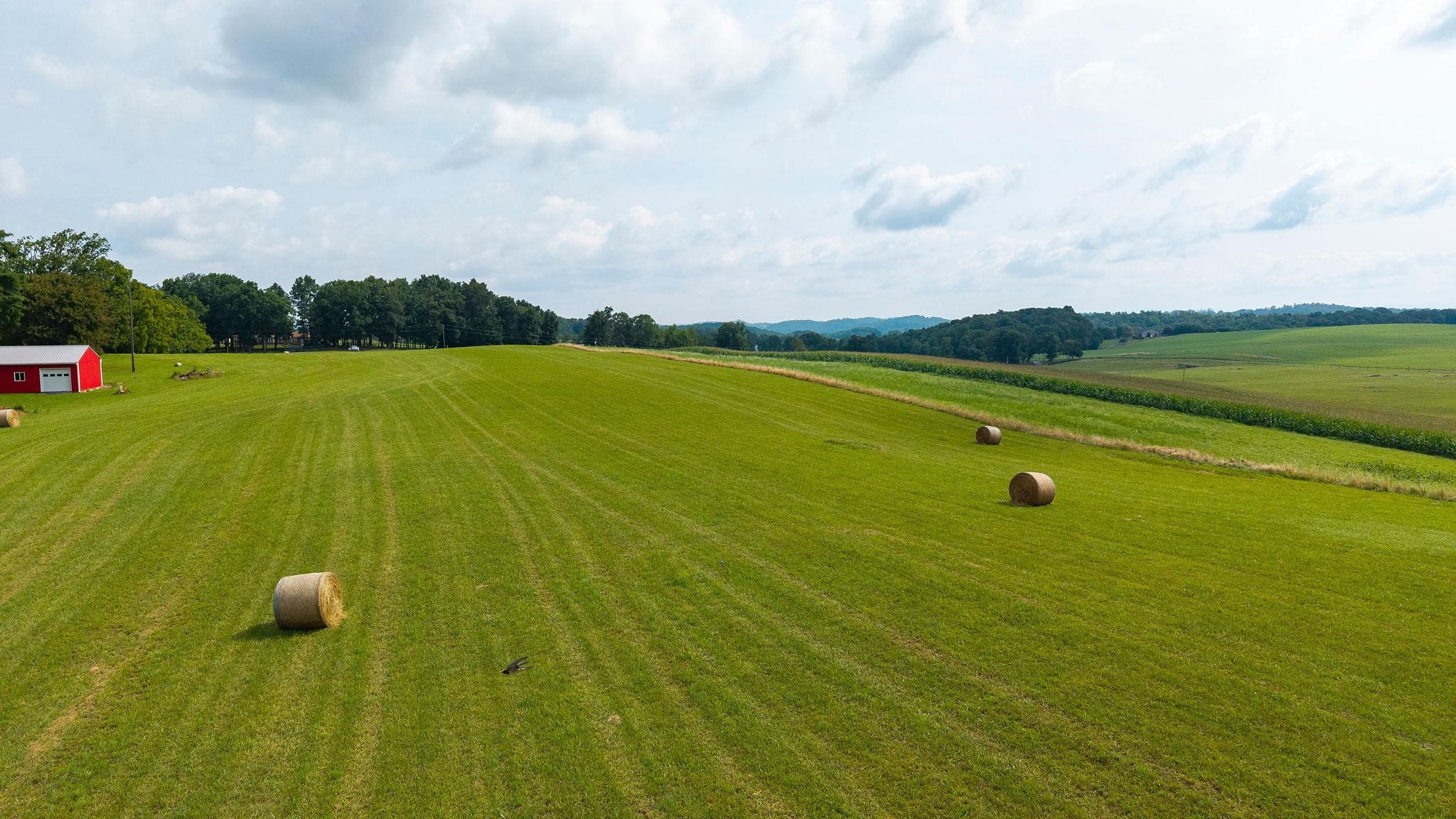 TBD STONE BRANCH RD, STAUNTON, Virginia 24401, ,Land,TBD STONE BRANCH RD,679838 MLS # 679838