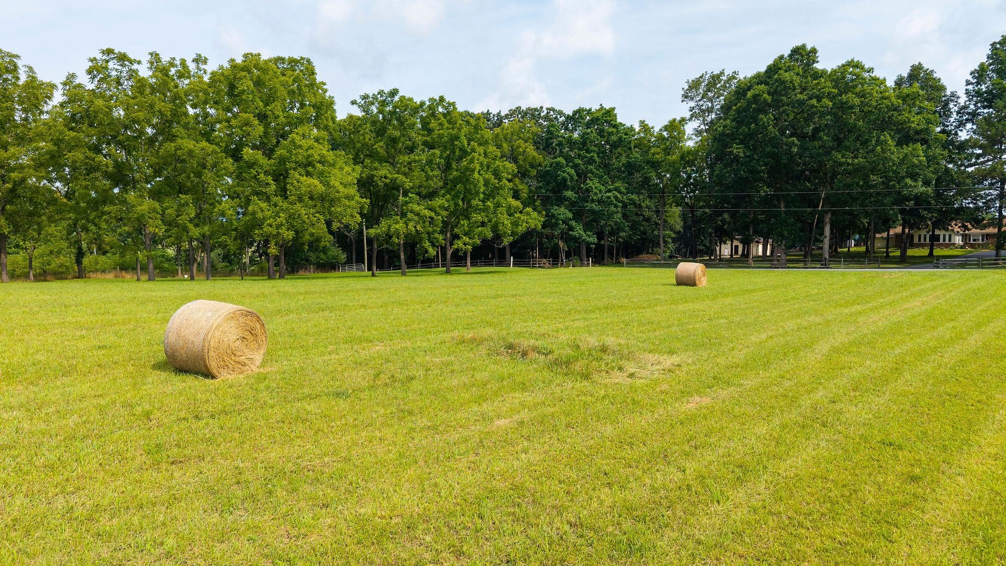 TBD STONE BRANCH RD, STAUNTON, Virginia 24401, ,Land,TBD STONE BRANCH RD,679838 MLS # 679838