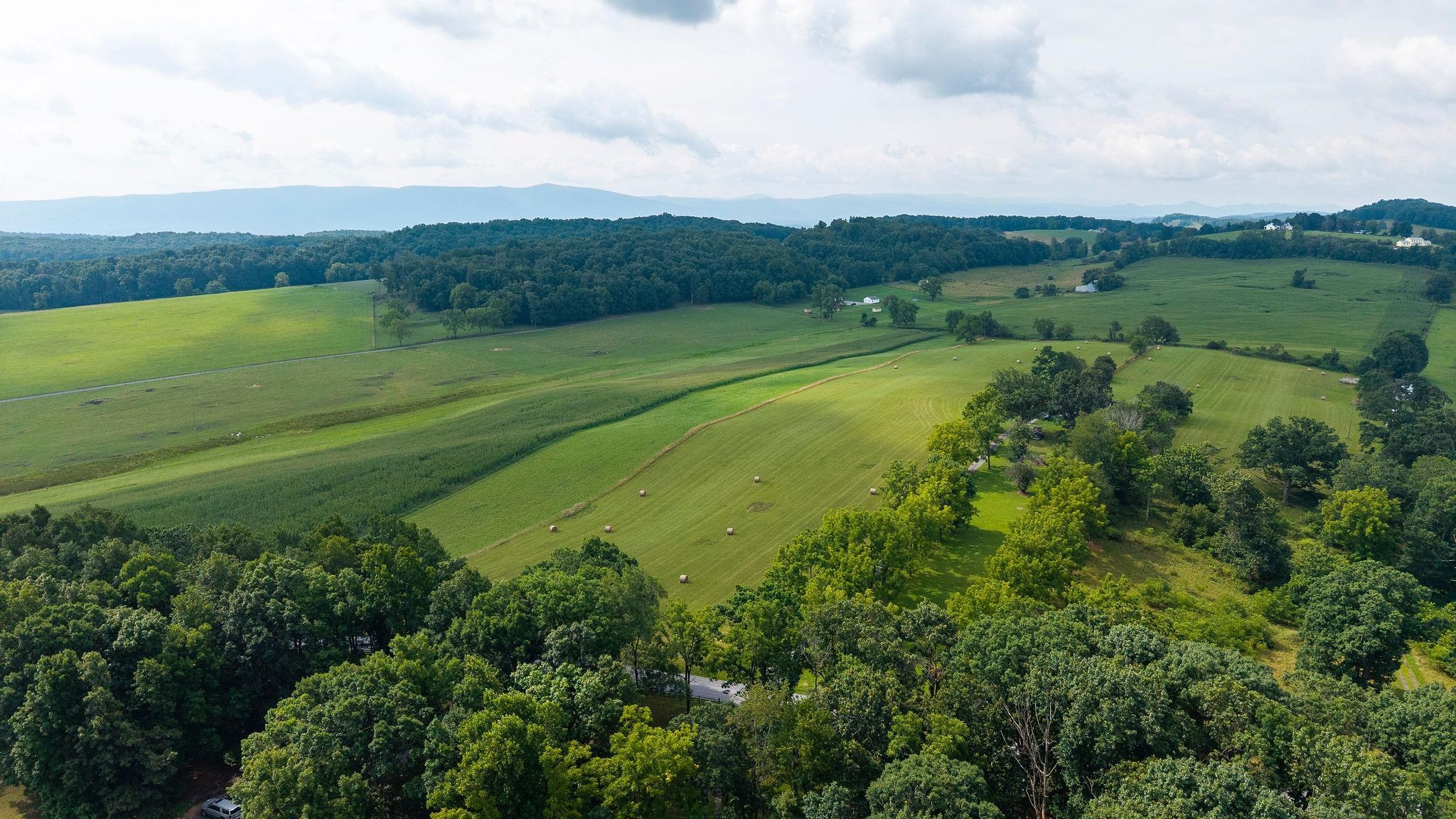 TBD STONE BRANCH RD, STAUNTON, Virginia 24401, ,Land,TBD STONE BRANCH RD,679838 MLS # 679838