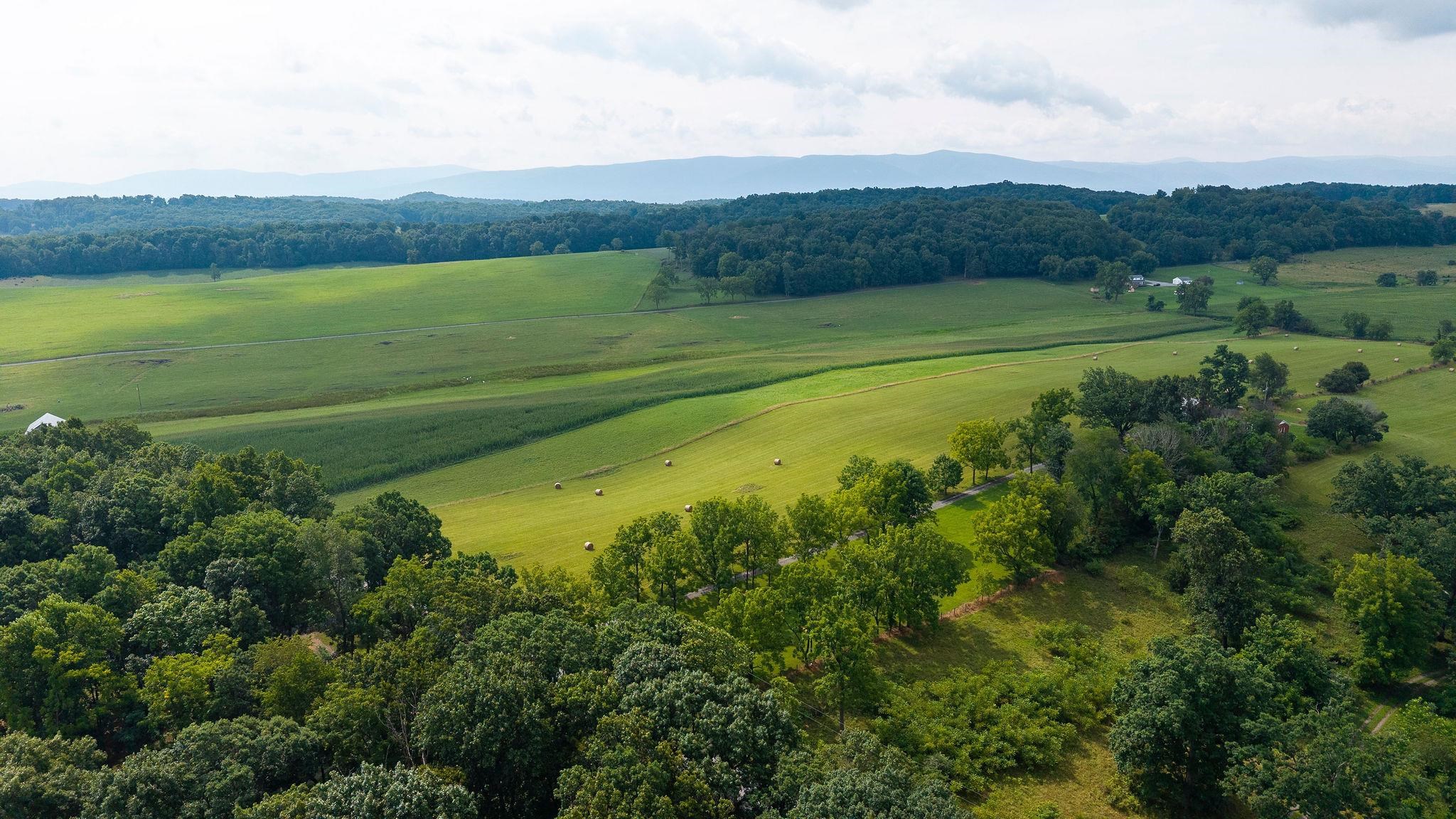 TBD STONE BRANCH RD, STAUNTON, Virginia 24401, ,Land,TBD STONE BRANCH RD,679838 MLS # 679838