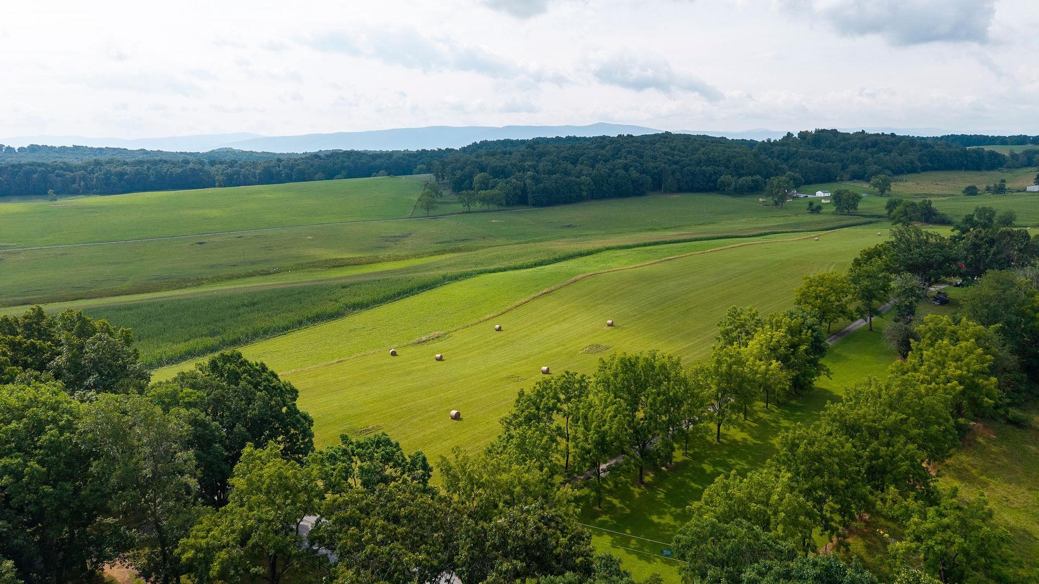 TBD STONE BRANCH RD, STAUNTON, Virginia 24401, ,Land,TBD STONE BRANCH RD,679838 MLS # 679838