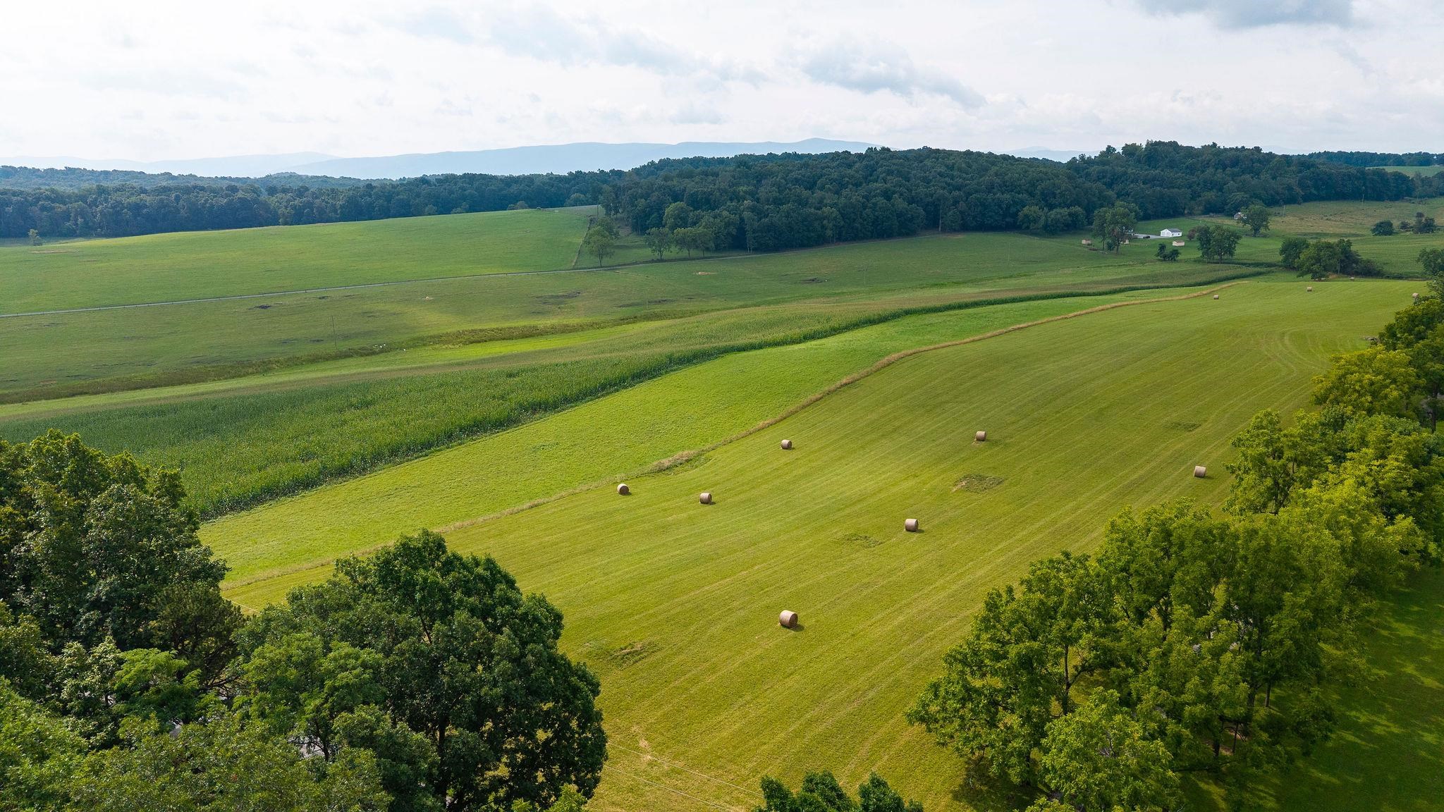 TBD STONE BRANCH RD, STAUNTON, Virginia 24401, ,Land,TBD STONE BRANCH RD,679838 MLS # 679838