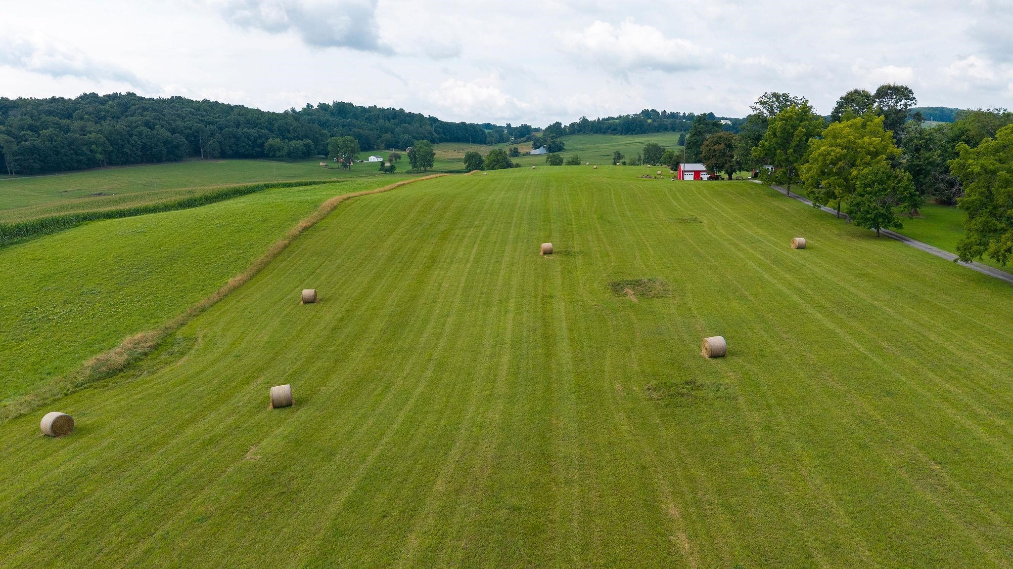 TBD STONE BRANCH RD, STAUNTON, Virginia 24401, ,Land,TBD STONE BRANCH RD,679838 MLS # 679838