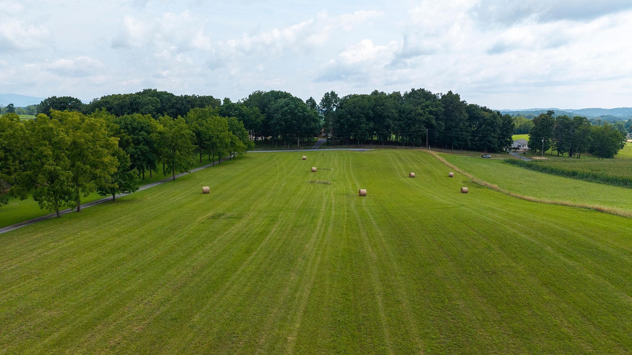 TBD STONE BRANCH RD, STAUNTON, Virginia 24401, ,Land,TBD STONE BRANCH RD,679838 MLS # 679838