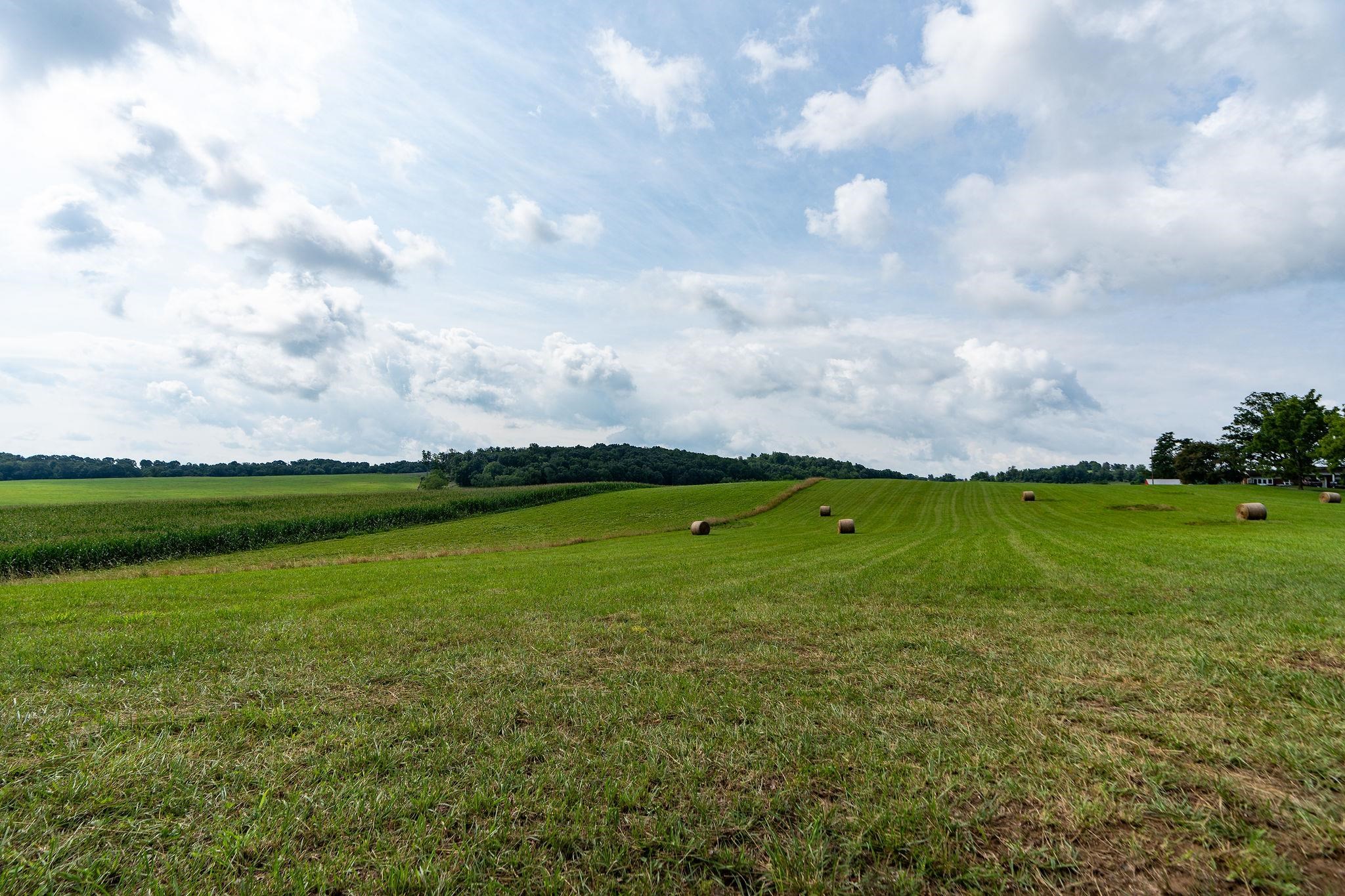 TBD STONE BRANCH RD, STAUNTON, Virginia 24401, ,Land,TBD STONE BRANCH RD,679838 MLS # 679838