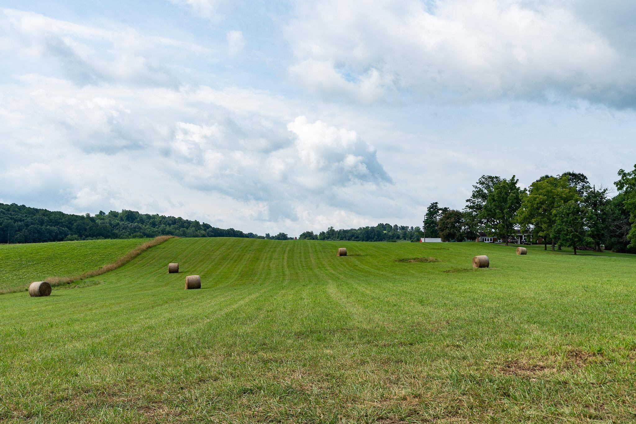 TBD STONE BRANCH RD, STAUNTON, Virginia 24401, ,Land,TBD STONE BRANCH RD,679838 MLS # 679838